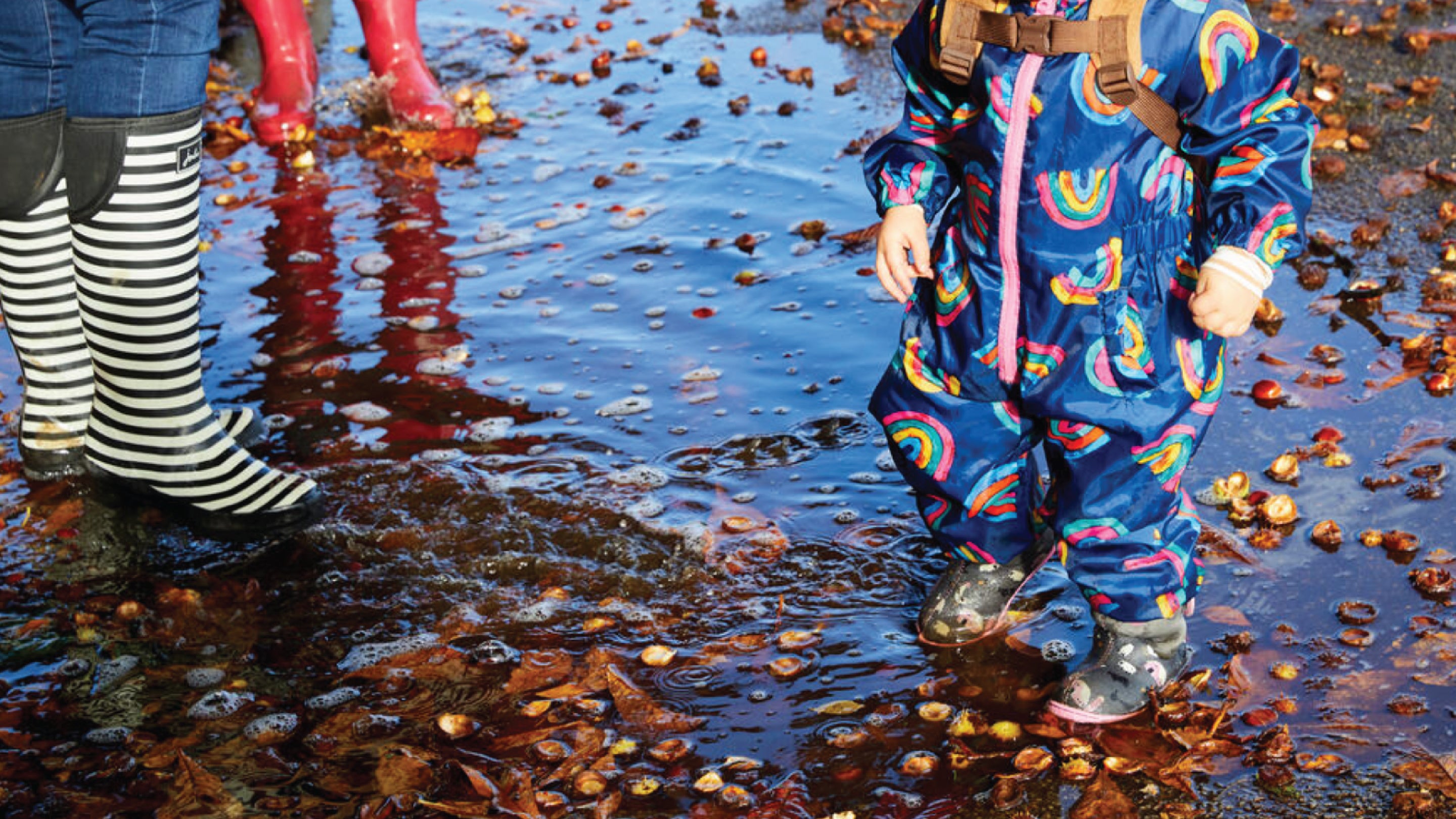 A young child in a blue rainbow puddle suit is stepping in a puddle filled with autumn leaves
