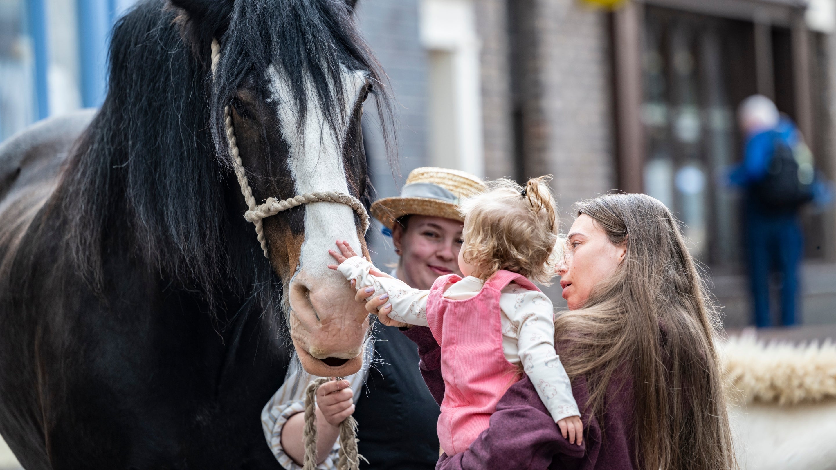 A young girl in a pink top with curly blonde hair is sat in her mother's arms, while she carefully pats a dark brown shire horse on the nose. The horse has a white streak on its nose and its looked after by a lady dressed up in Victorian clothes.