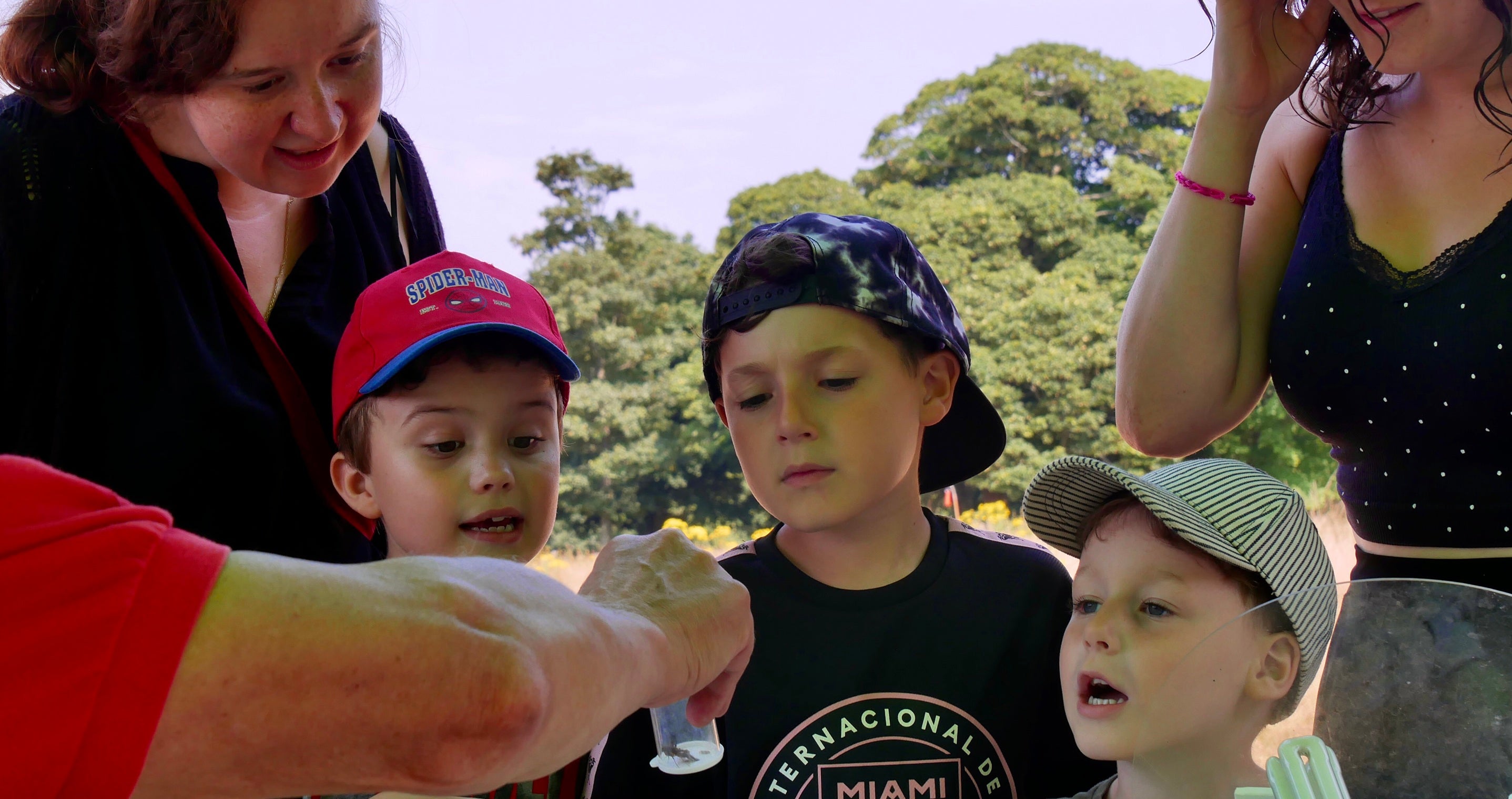 Women and boys looking at moth