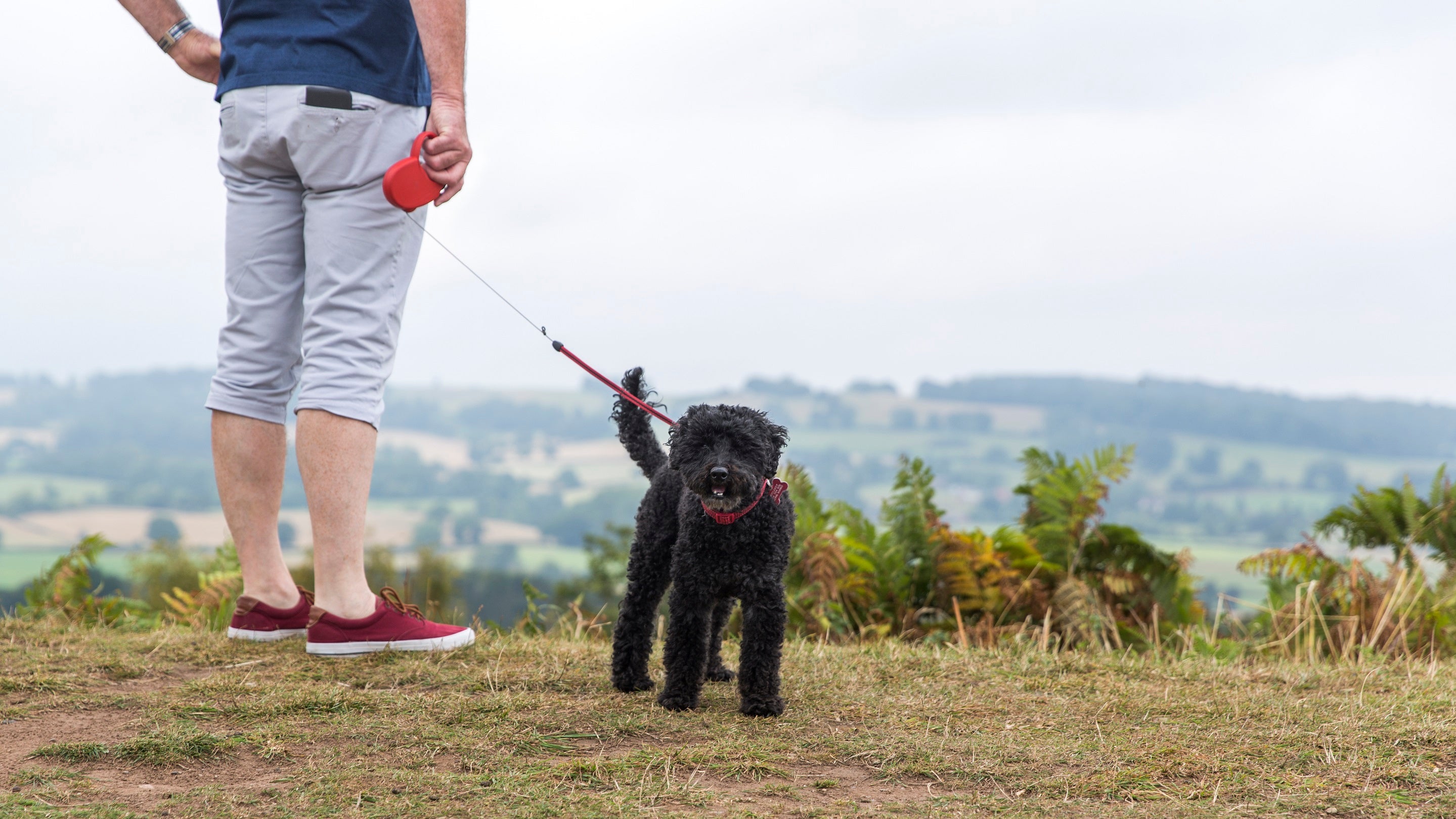 Visitor walking their dog on Kinver Edge