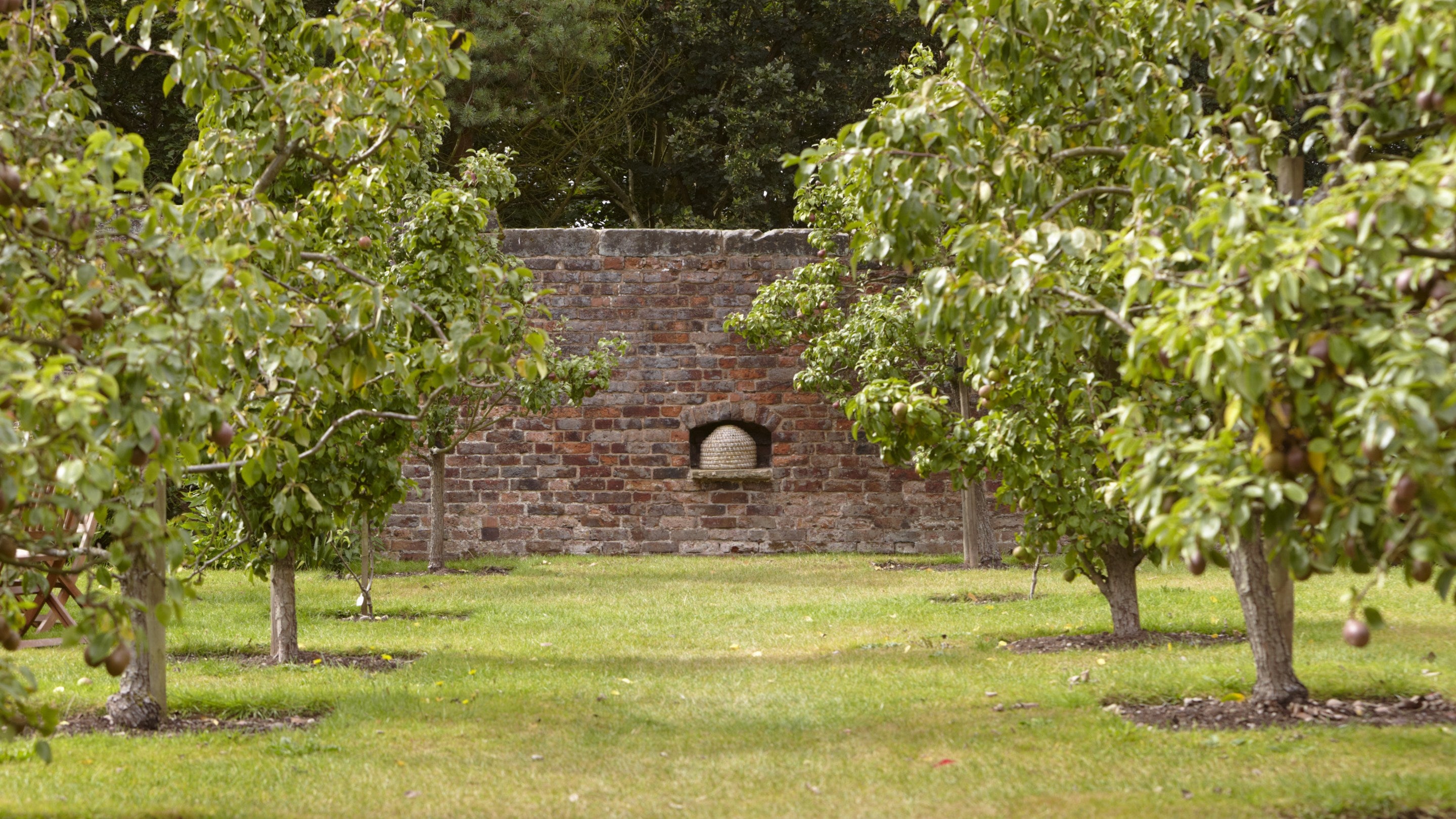 The Orchard with a bee-bole in the garden wall at Moseley Old Hall, Staffordshire.