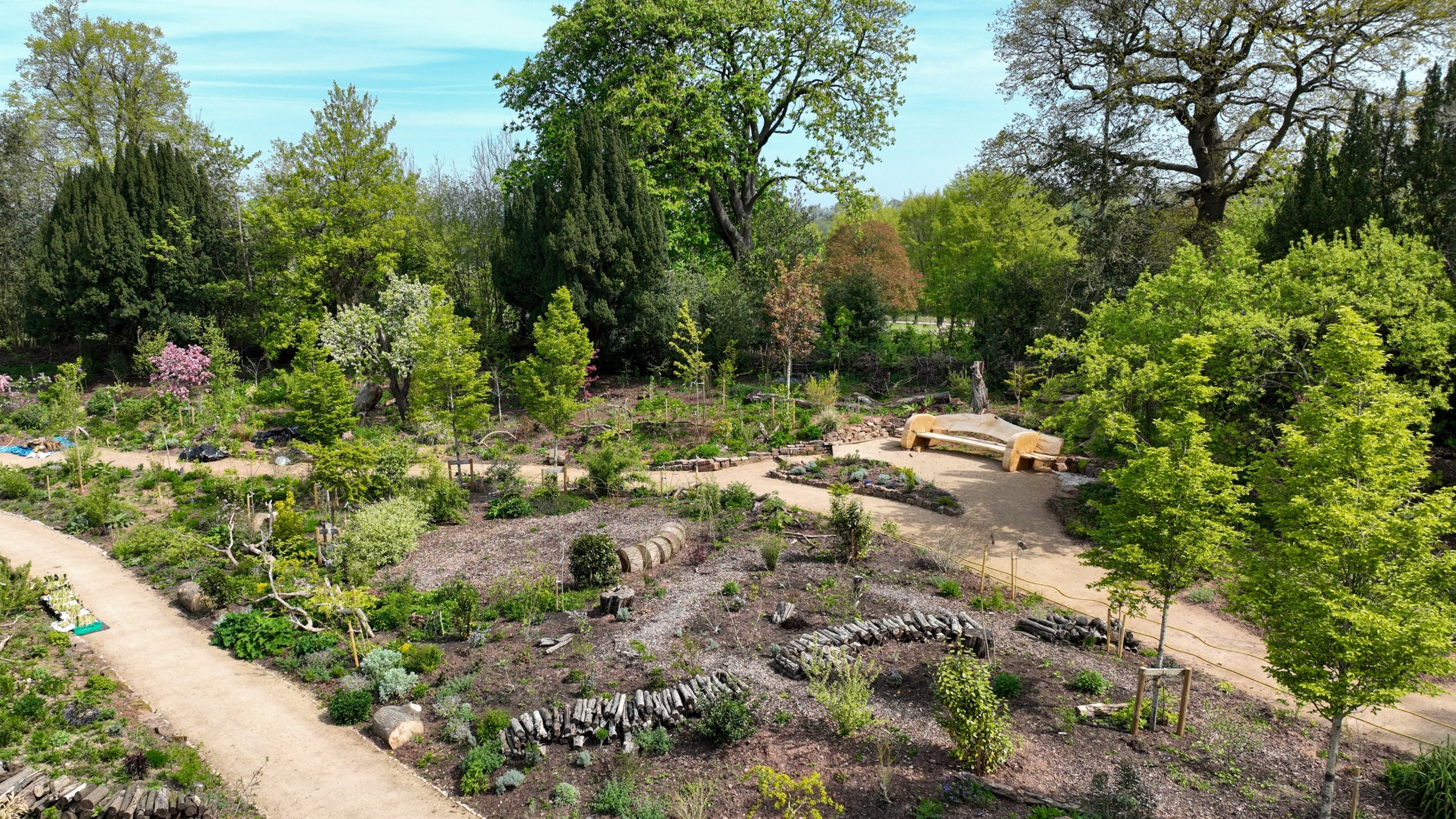 View from above looking out over the new Arcadia forest garden at Shugborough Estate. Pathways with a large bench to sit on surround planting and trees.
