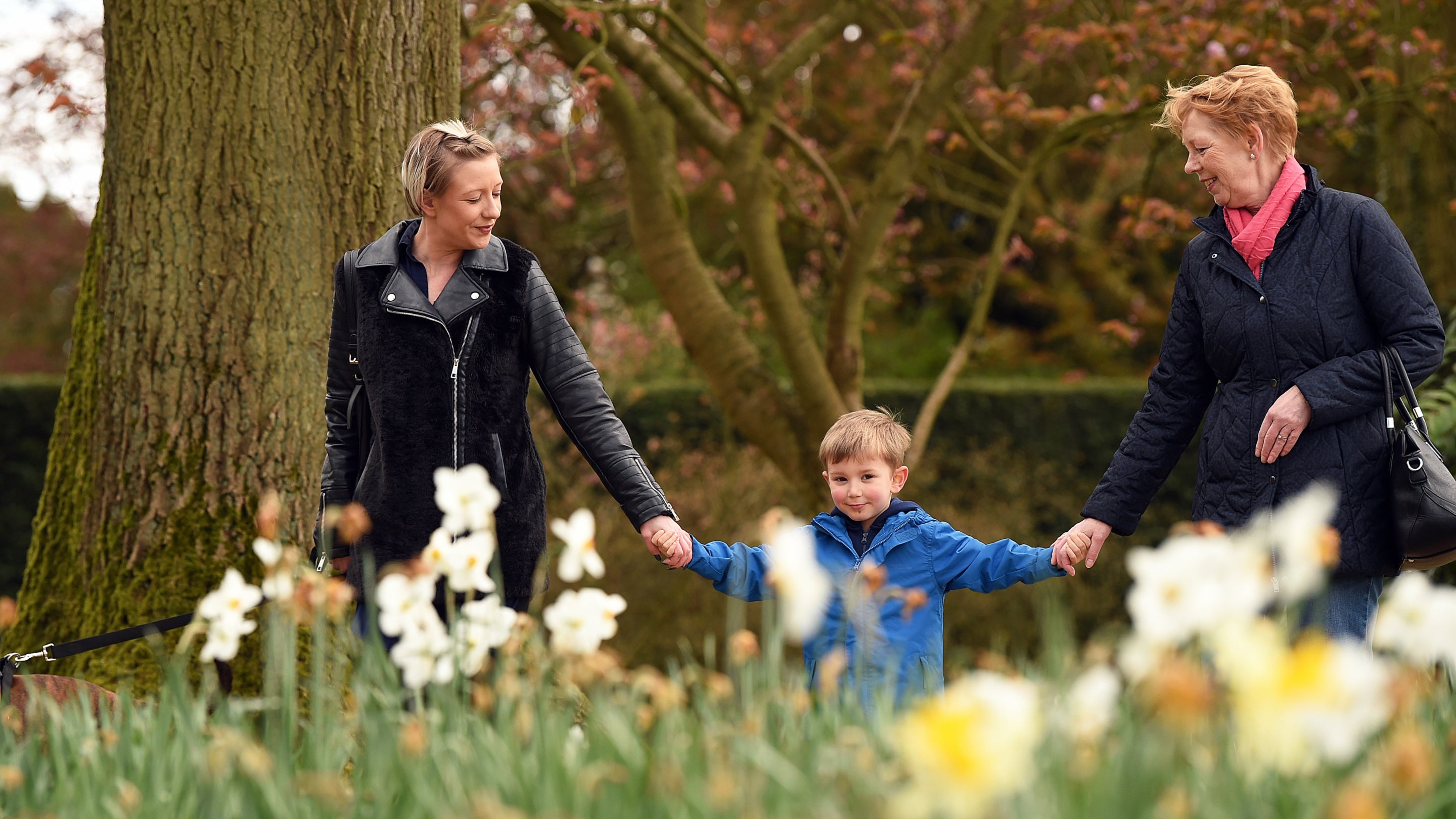 Visitors exploring the garden in spring at Shugborough Estate, Staffordshire
