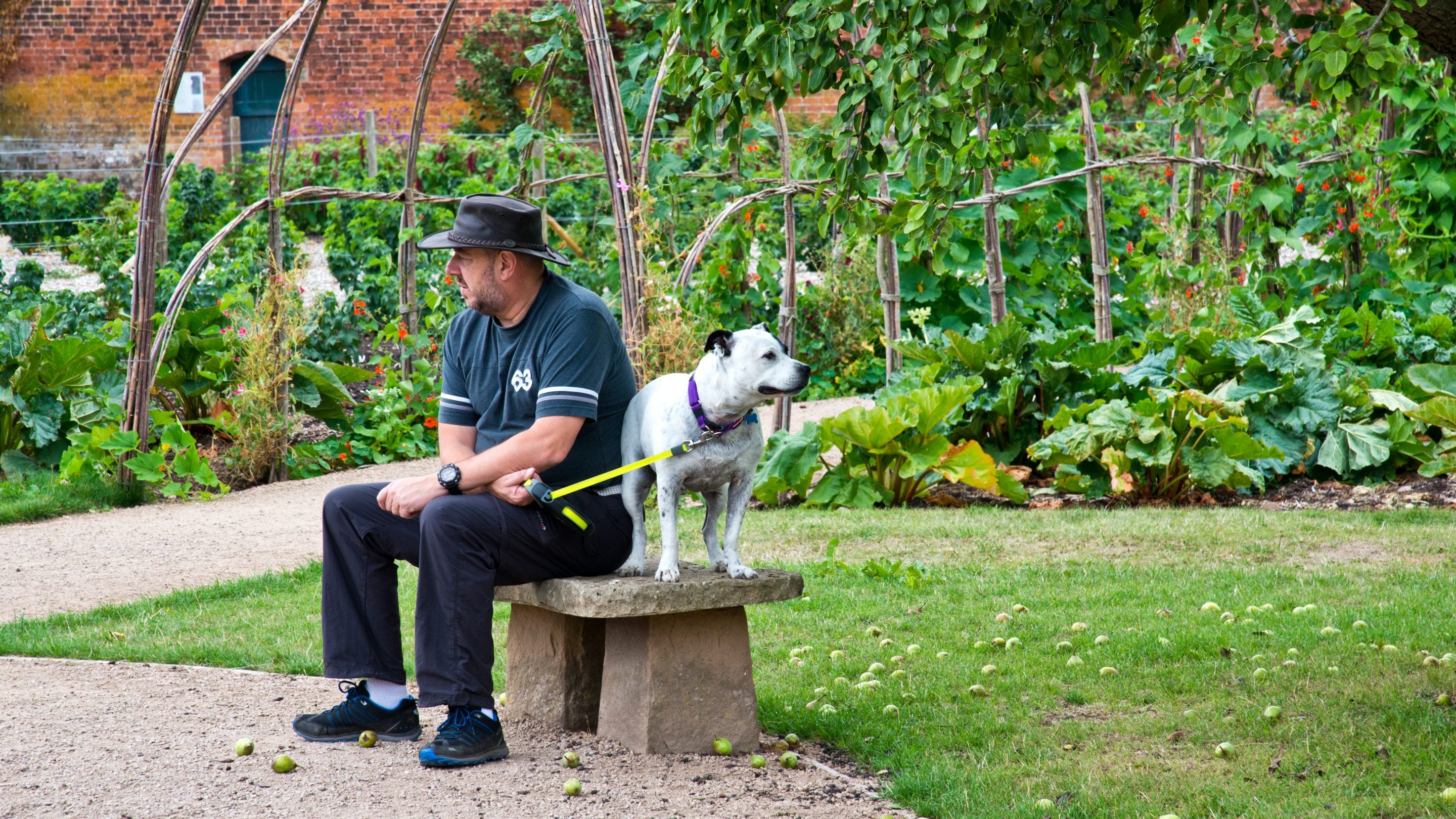 Visitor with their dog in the Walled Garden at Shugborough Estate, Staffordshire