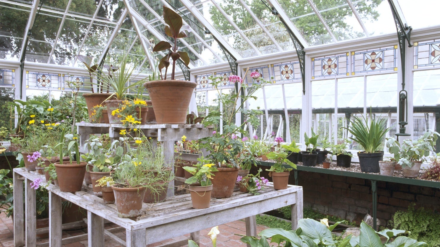 Interior of Sunnycroft conservatory with potted plants on tables and floor