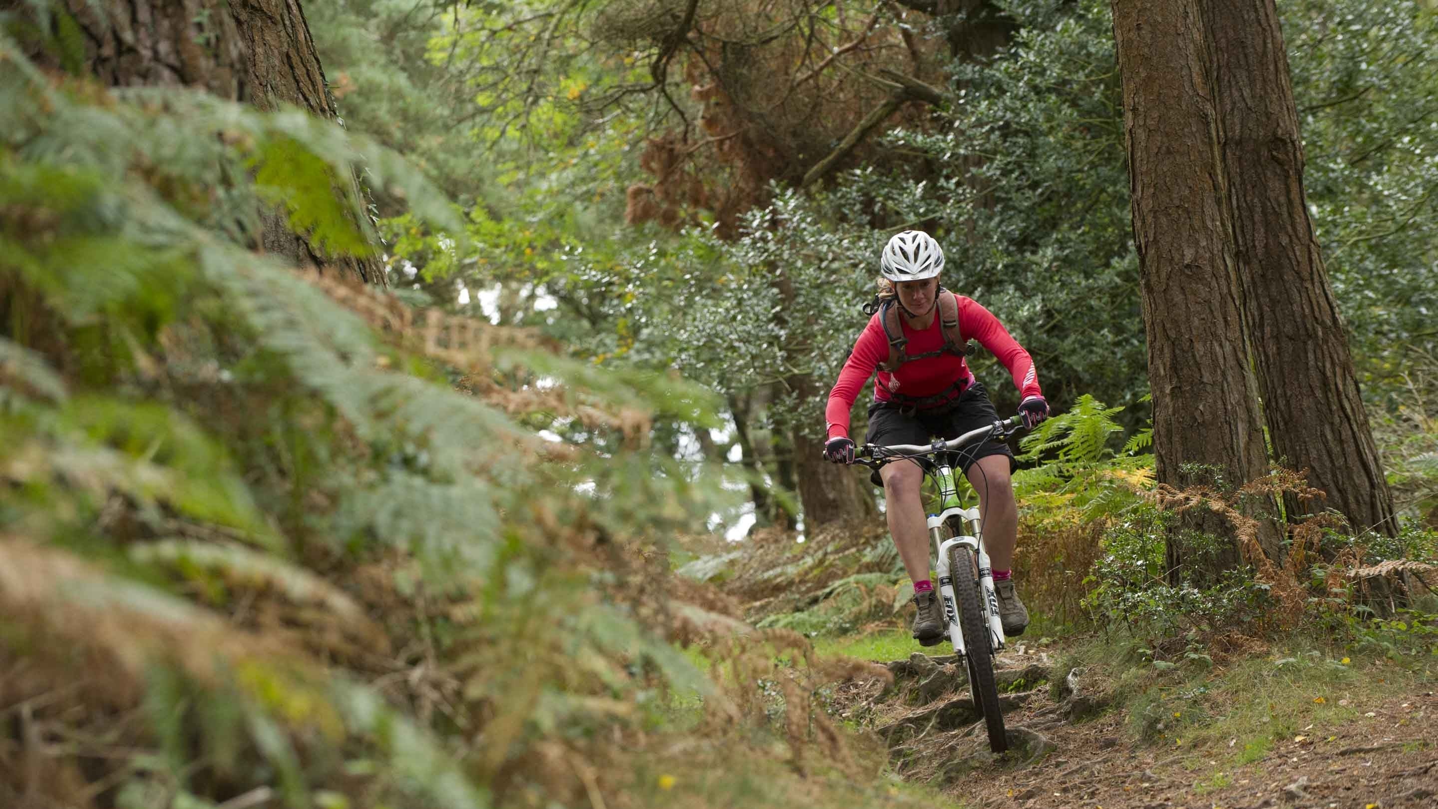 A mountain biker on a track surrounded by trees on the Holnicote estate