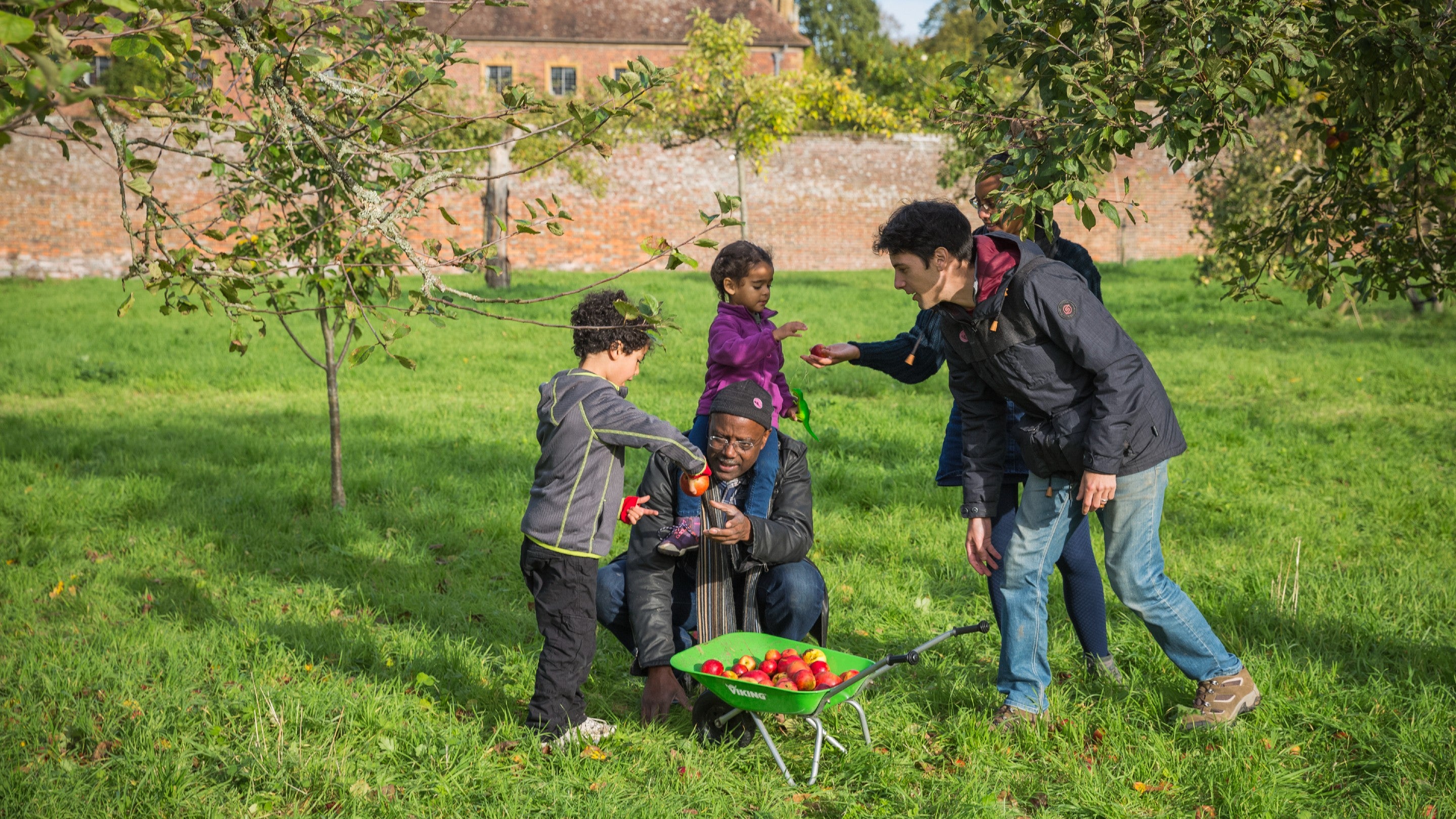 Visitors helping to collect apples in the orchard at Barrington Court