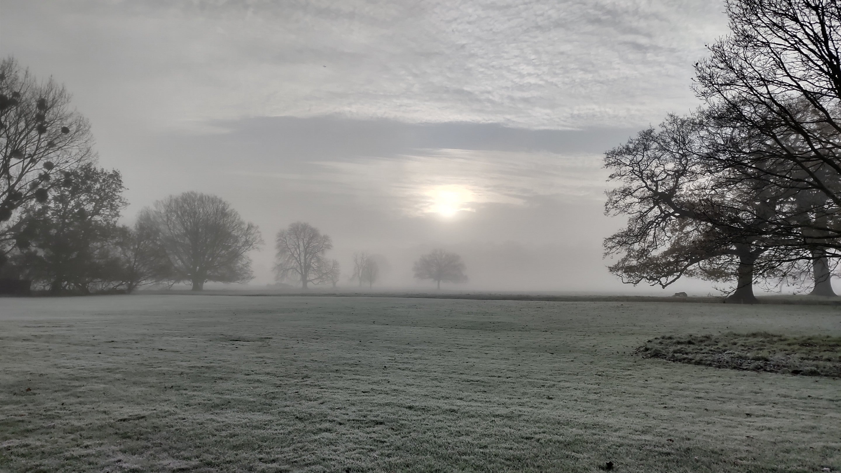 A frost foggy morning looking out to the wider estate at Barrington Court