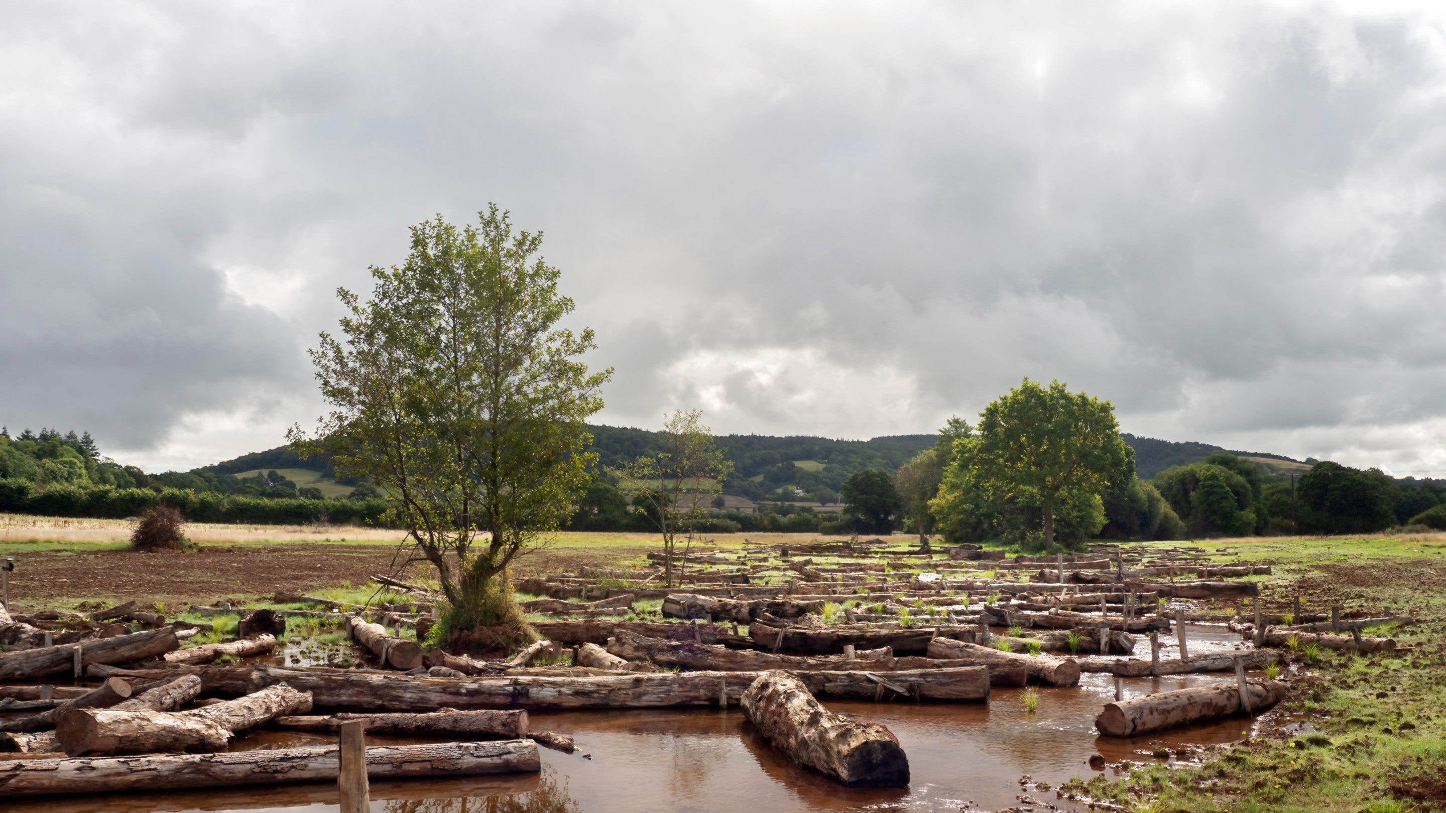 Holnicote River Project, Holnicote Estate, Somerset