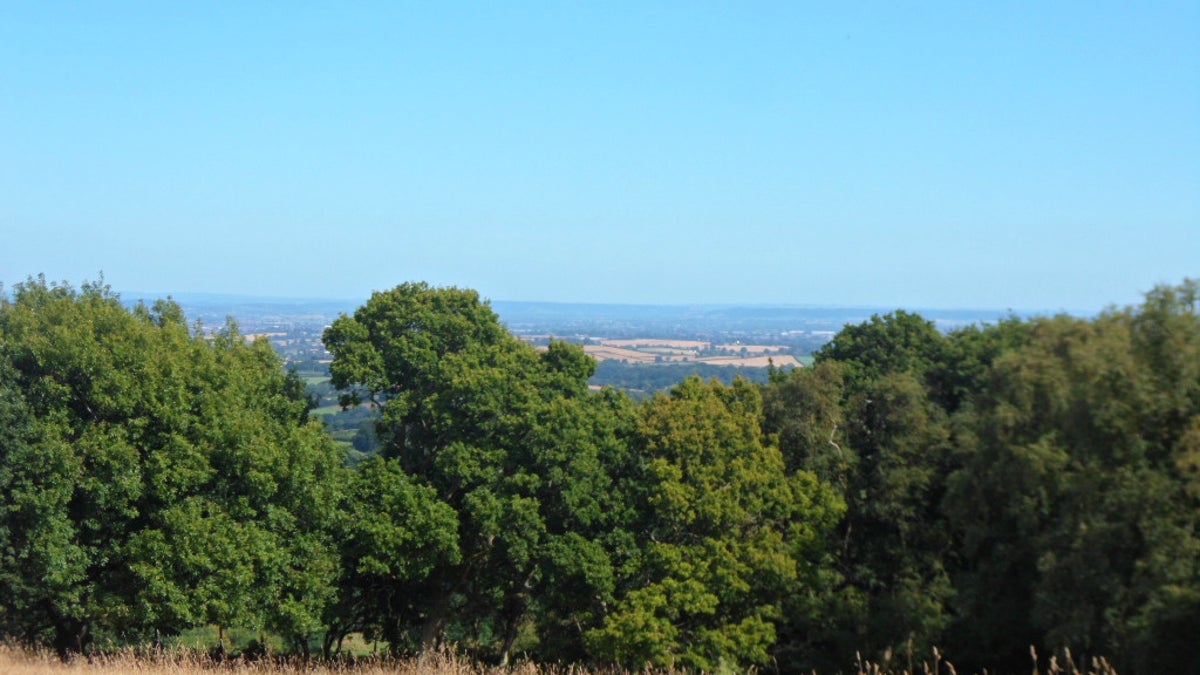 Coleridge nature walk Somerset National Trust