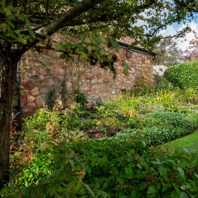 The Cottage Garden at Coleridge Cottage