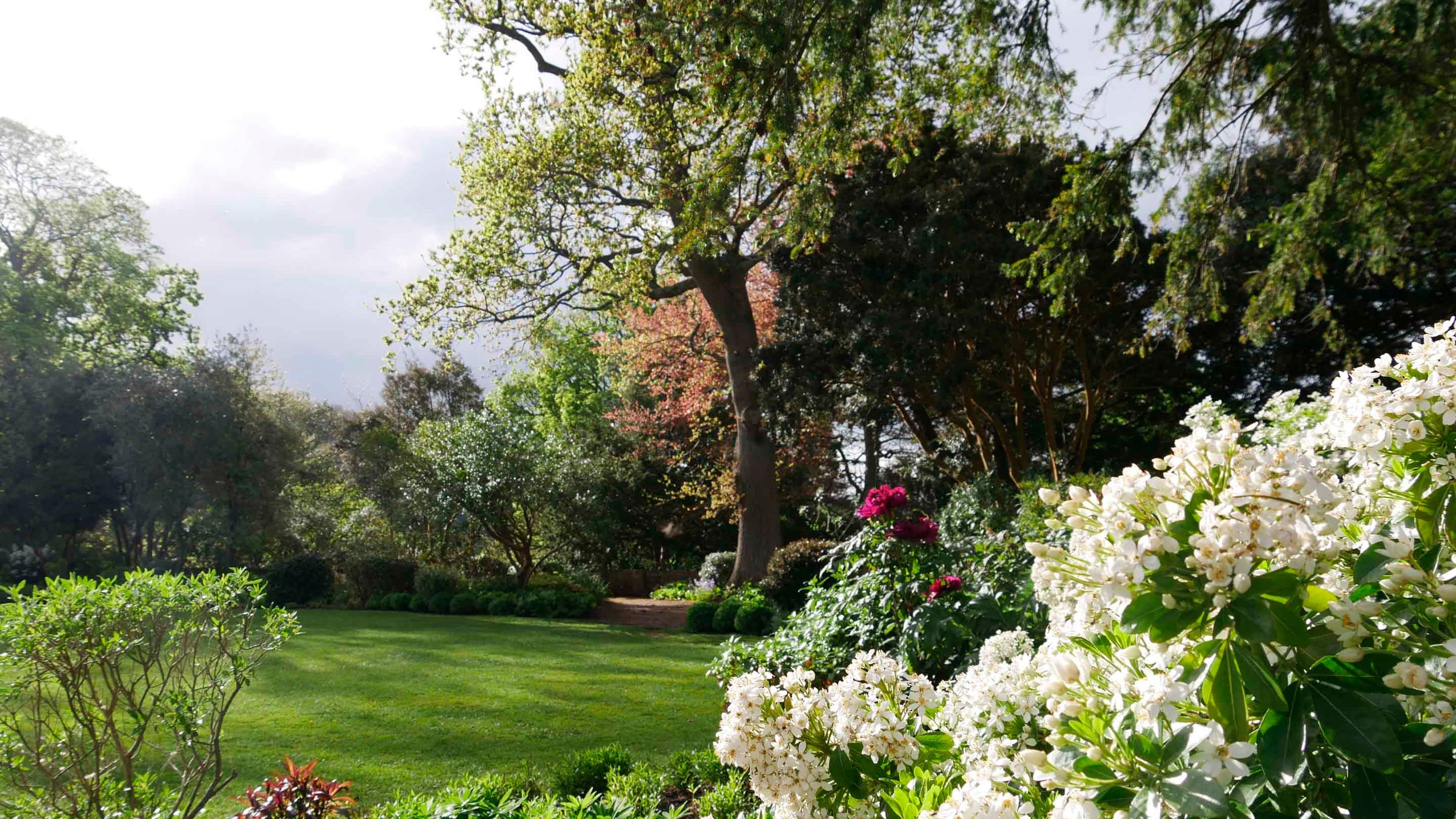 View of the keep garden at Dunster Castle, Somerset in spring