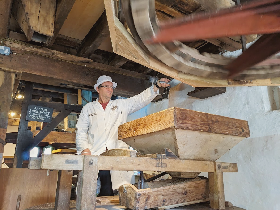 A miller in white coat and hat pouring a pan of wheat into a large wooden hopper at Dunster Working Watermill.