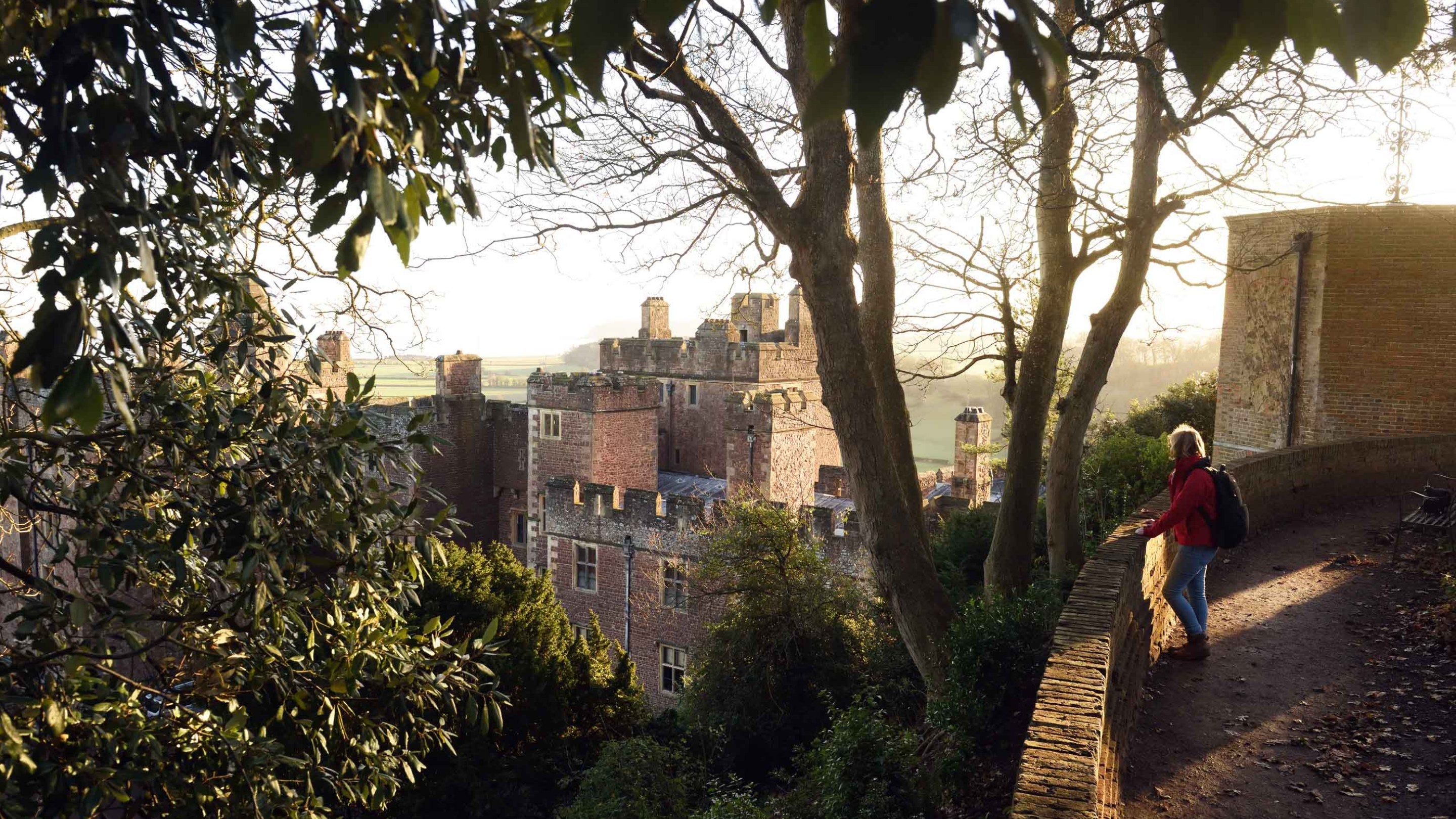 A visitor standing on a platform overlooking Dunster Castle below through the trees, in Somerset