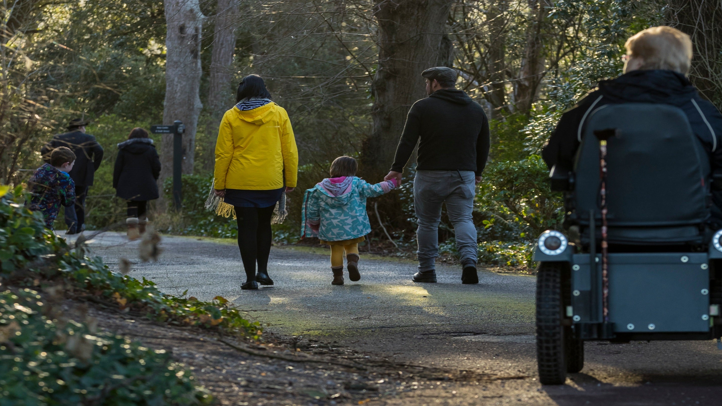 Visitors walking in the grounds of Dunster Castle with trees either side