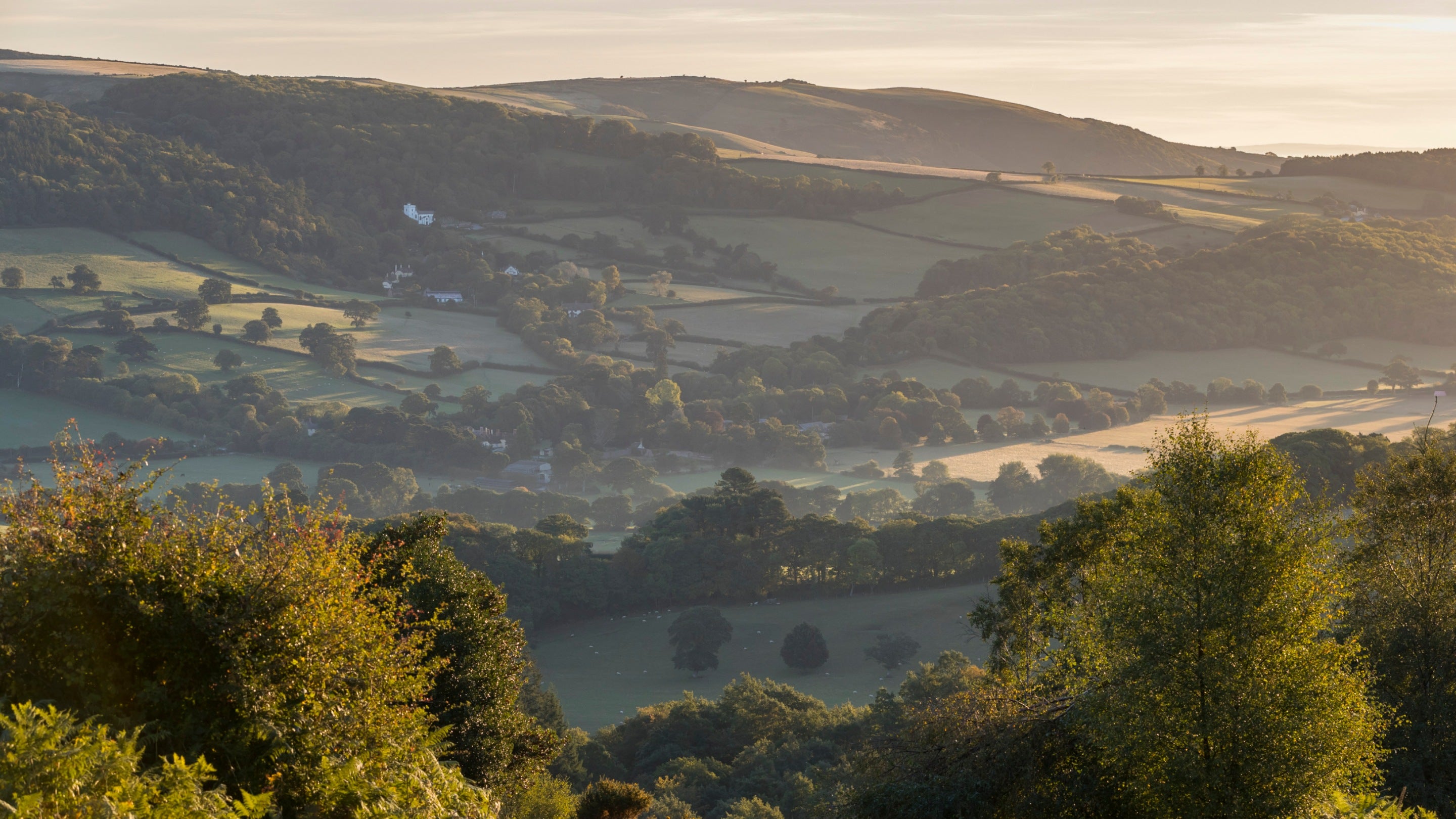View over the valley from Horner Wood at sunset