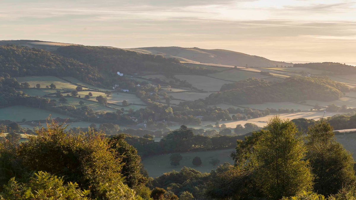 countryside-areas-in-somerset-south-west-national-trust