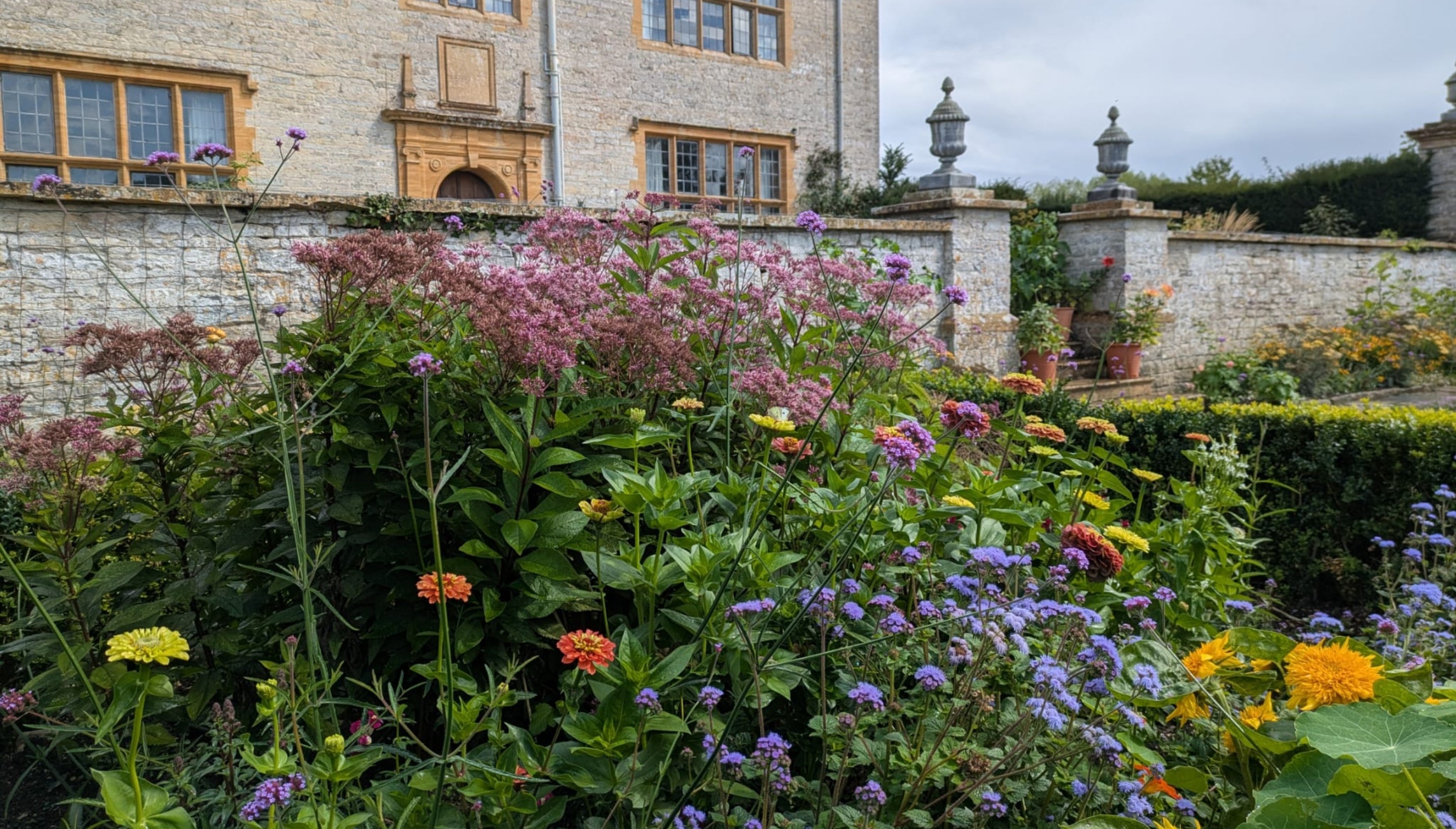 A vibrant garden border, set against a stone wall, with flowers in lots of colours