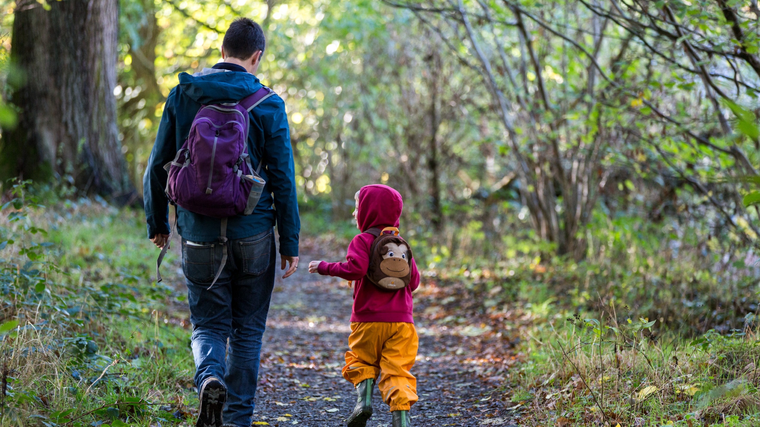 A father and child walk on a woodland path in autumn
