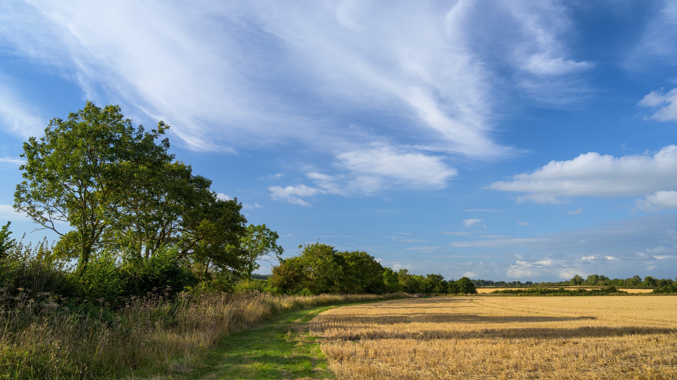 Blue skies over the fields at Lytes Cary Manor