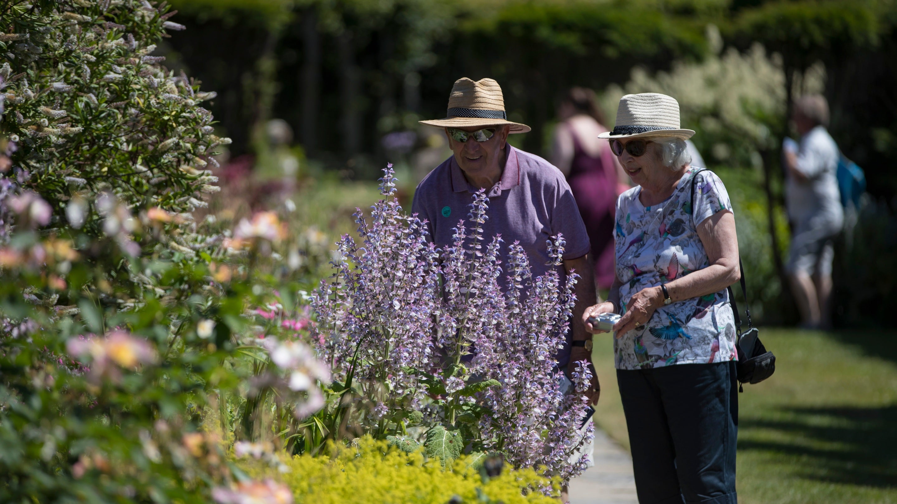 Visitors in Lytes Cary Manor, Somerset  Arts & Crafts Garden in summer