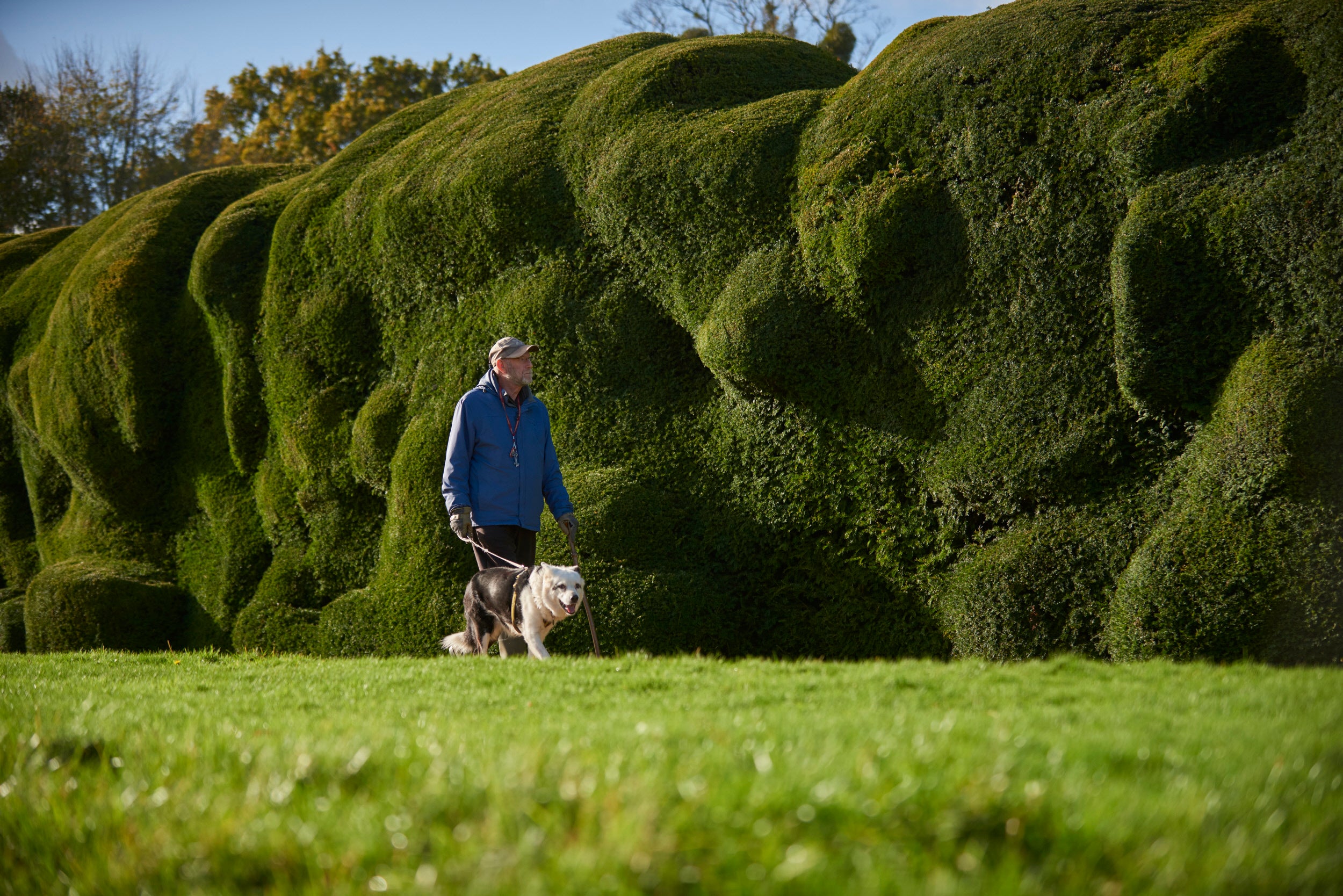 Dog walker in the garden at Montacute House, South Somerset