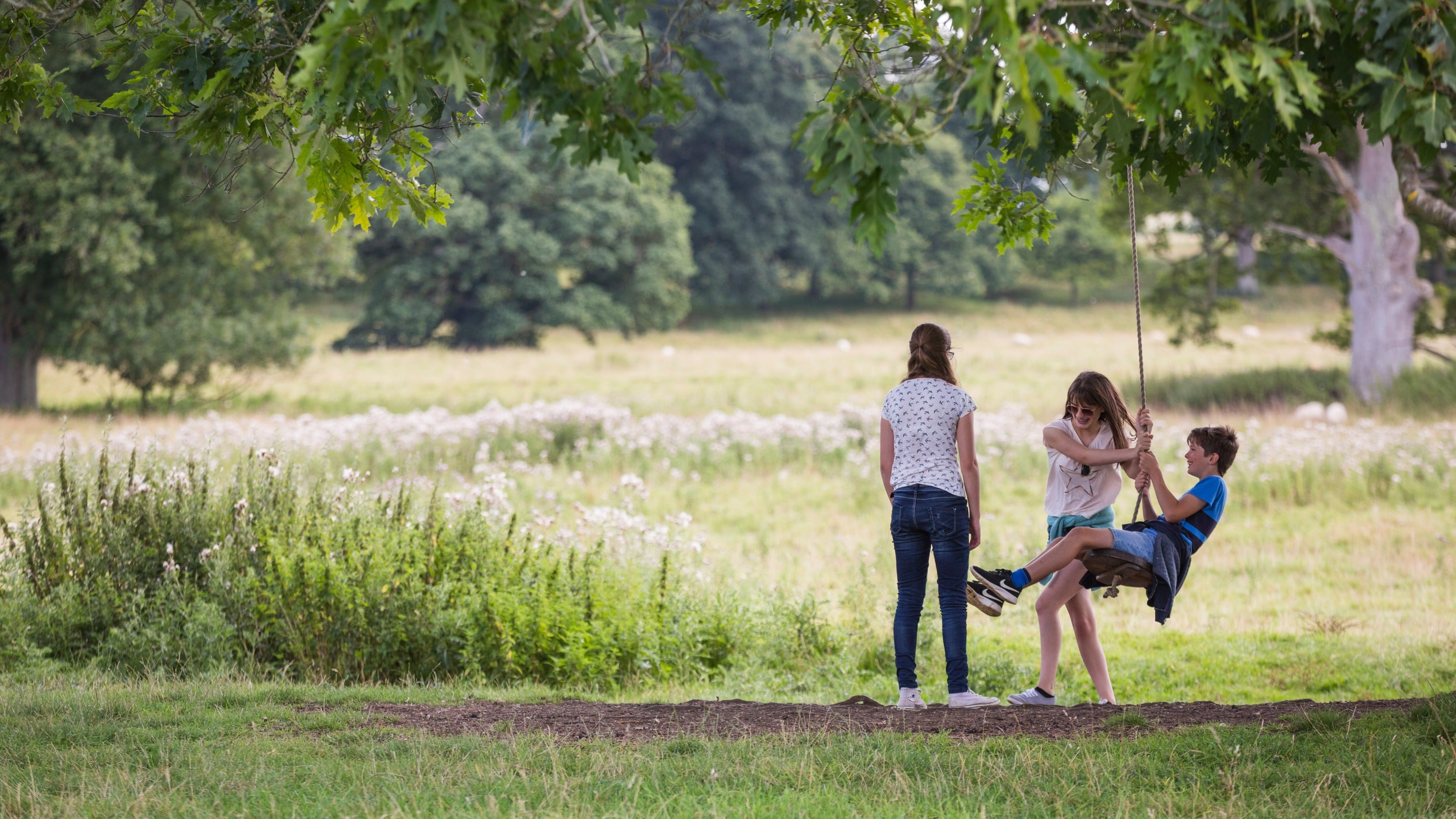 Children playing on a rope swing in the parkland at Montacute House, Somerset
