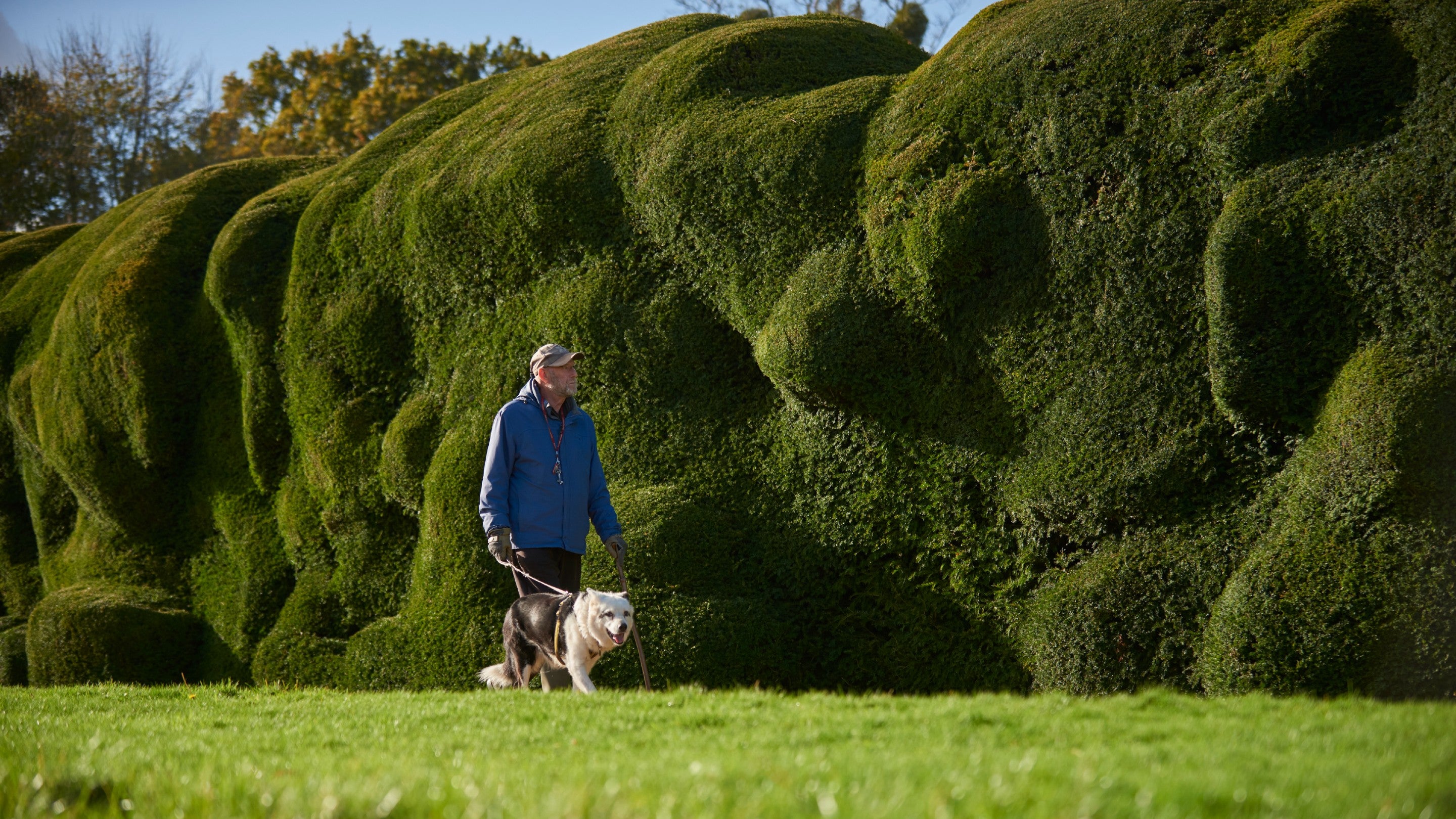 A visitor in the garden with his dog at Montacute House, Somerset