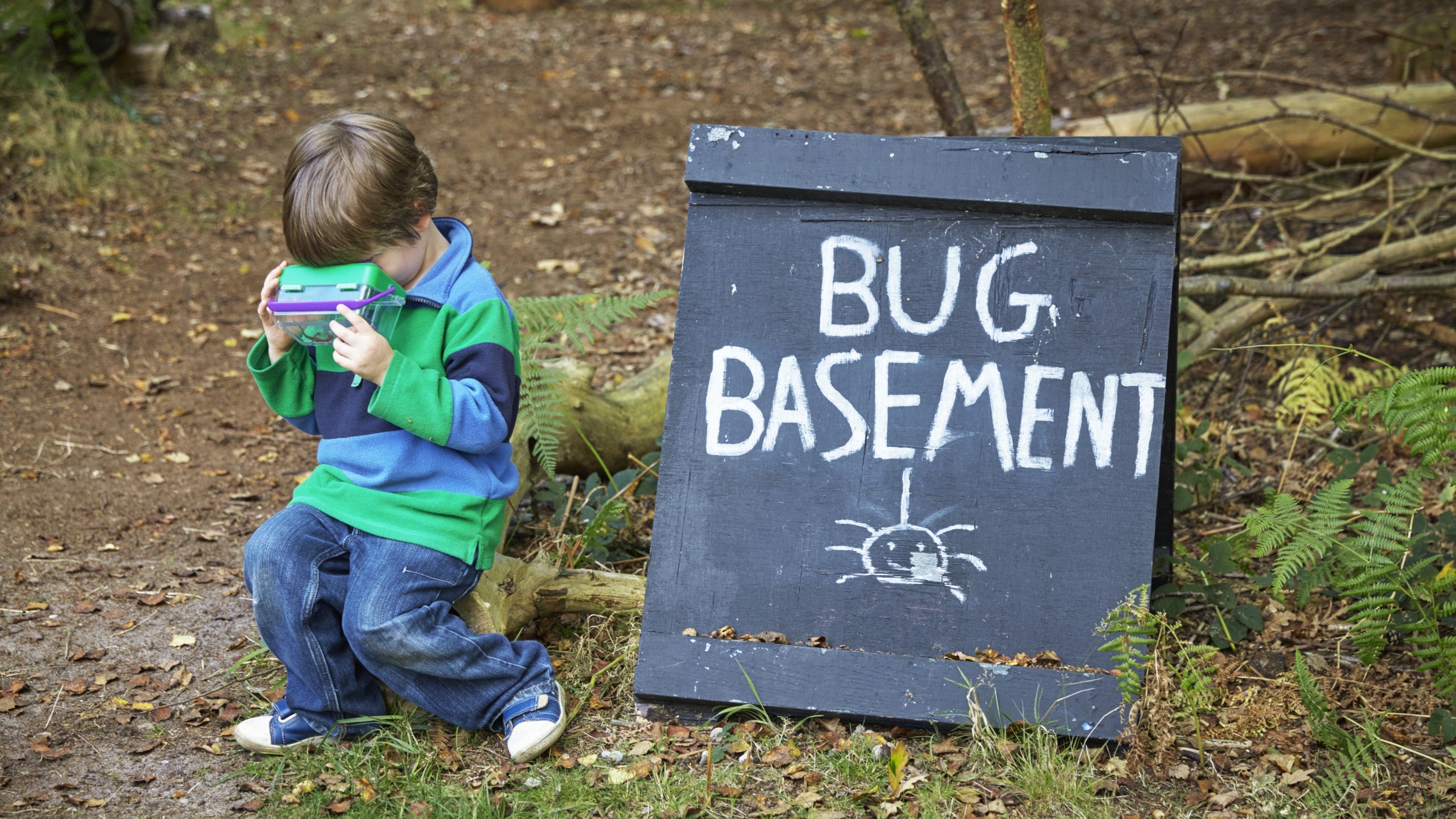 Boy on a bug hunt at Dunwich Heath and Beach, Suffolk