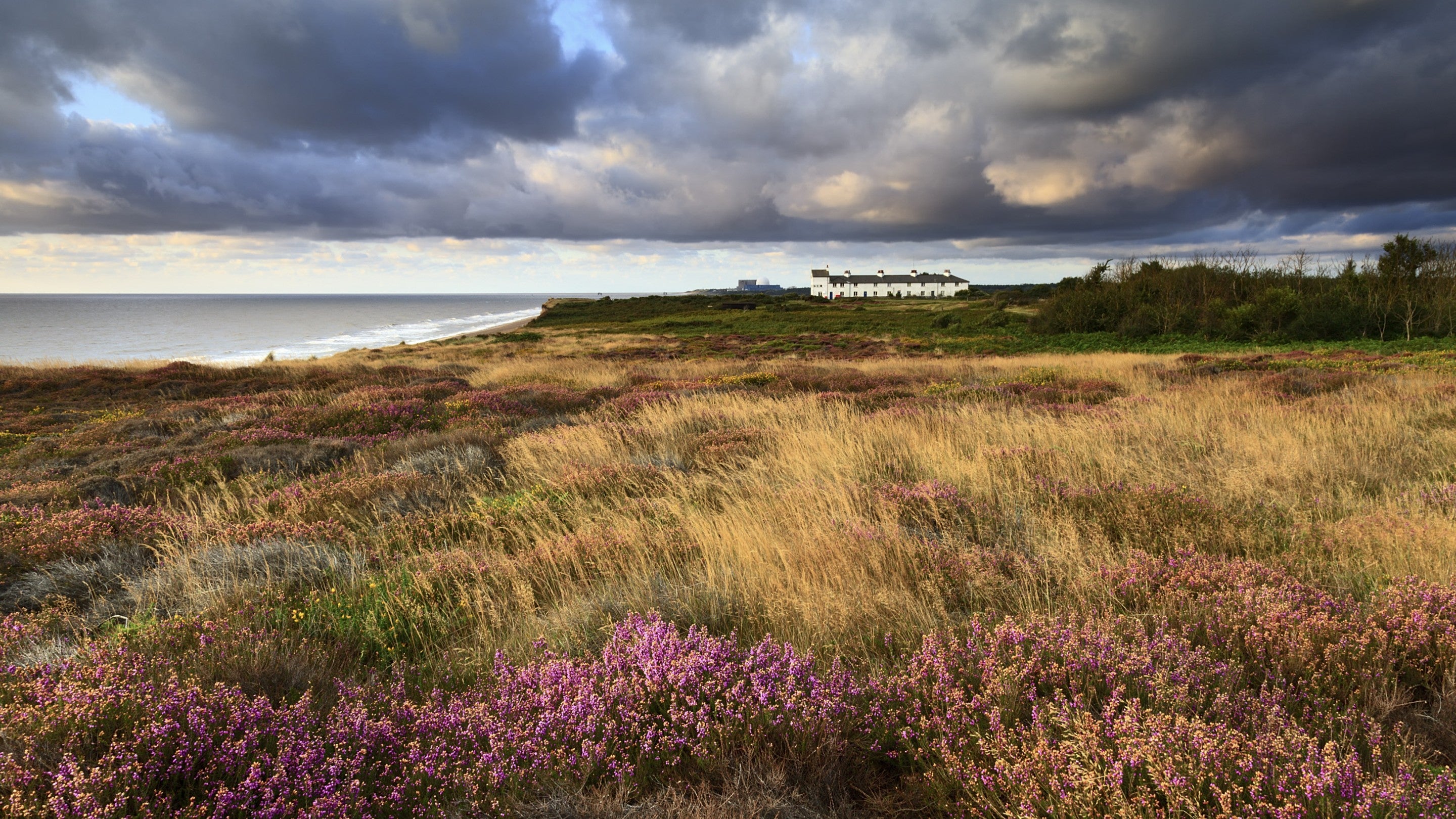 View of Dunwich Heath and Beach with a moody sky in the background
