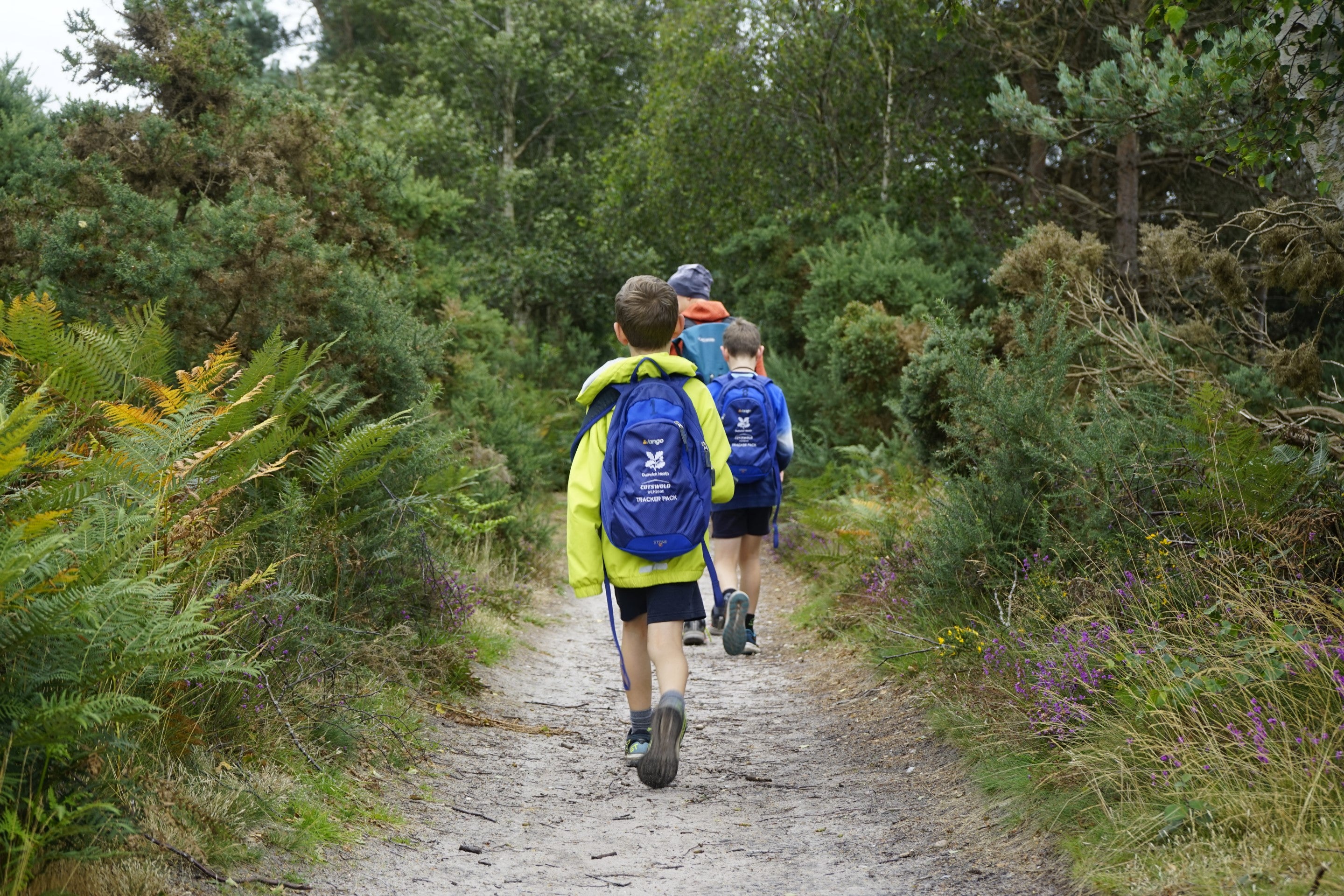 Two boys following eachother through the woodland at Dunwich Heath. The one closest to the camera is wearing a lime green anorak and carrying a blue tracker pack in a rucksack on his back.