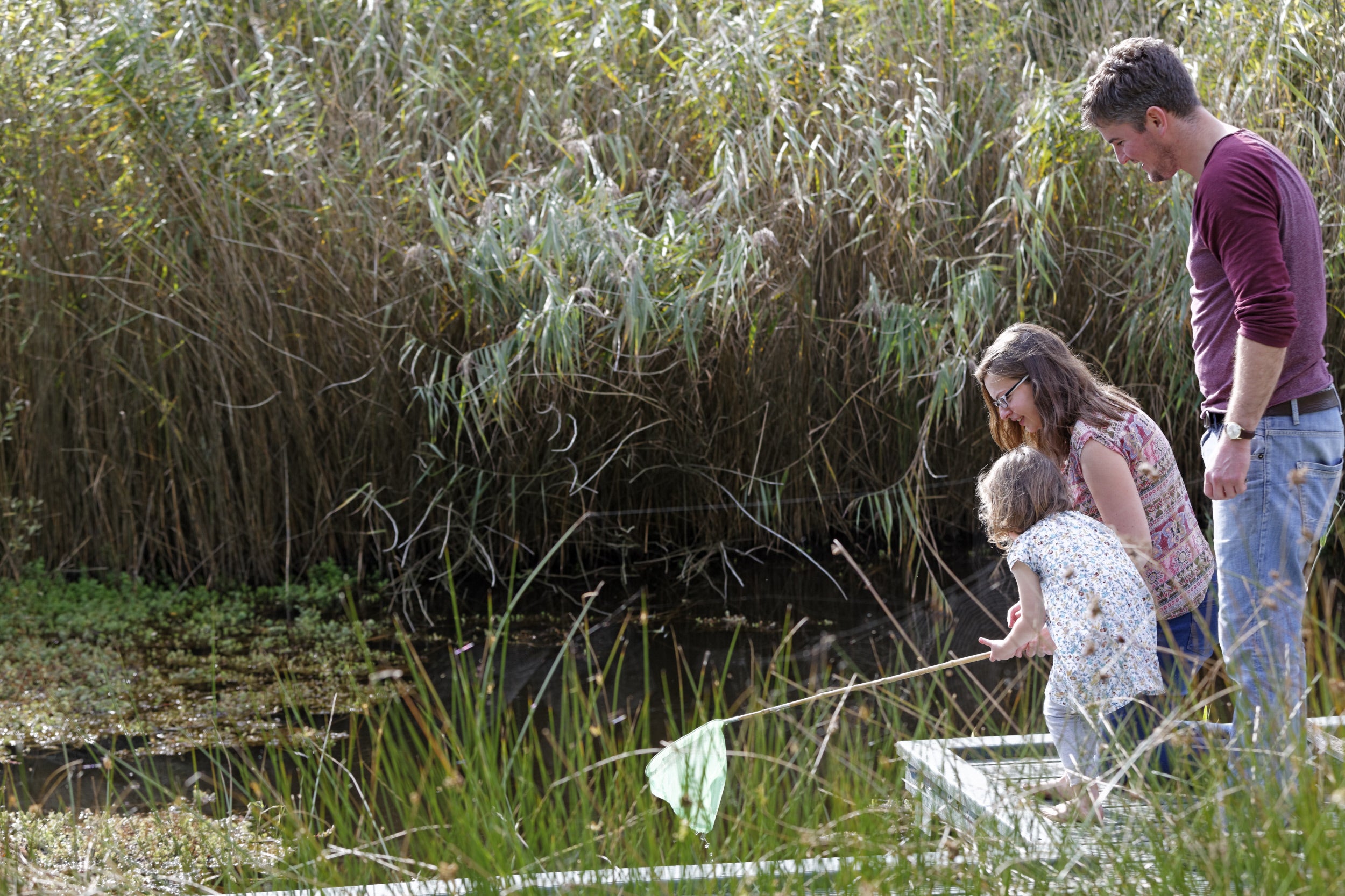 A mother, father and their daughter pond dipping at one of the ponds in the woodland at Dunwich Heath