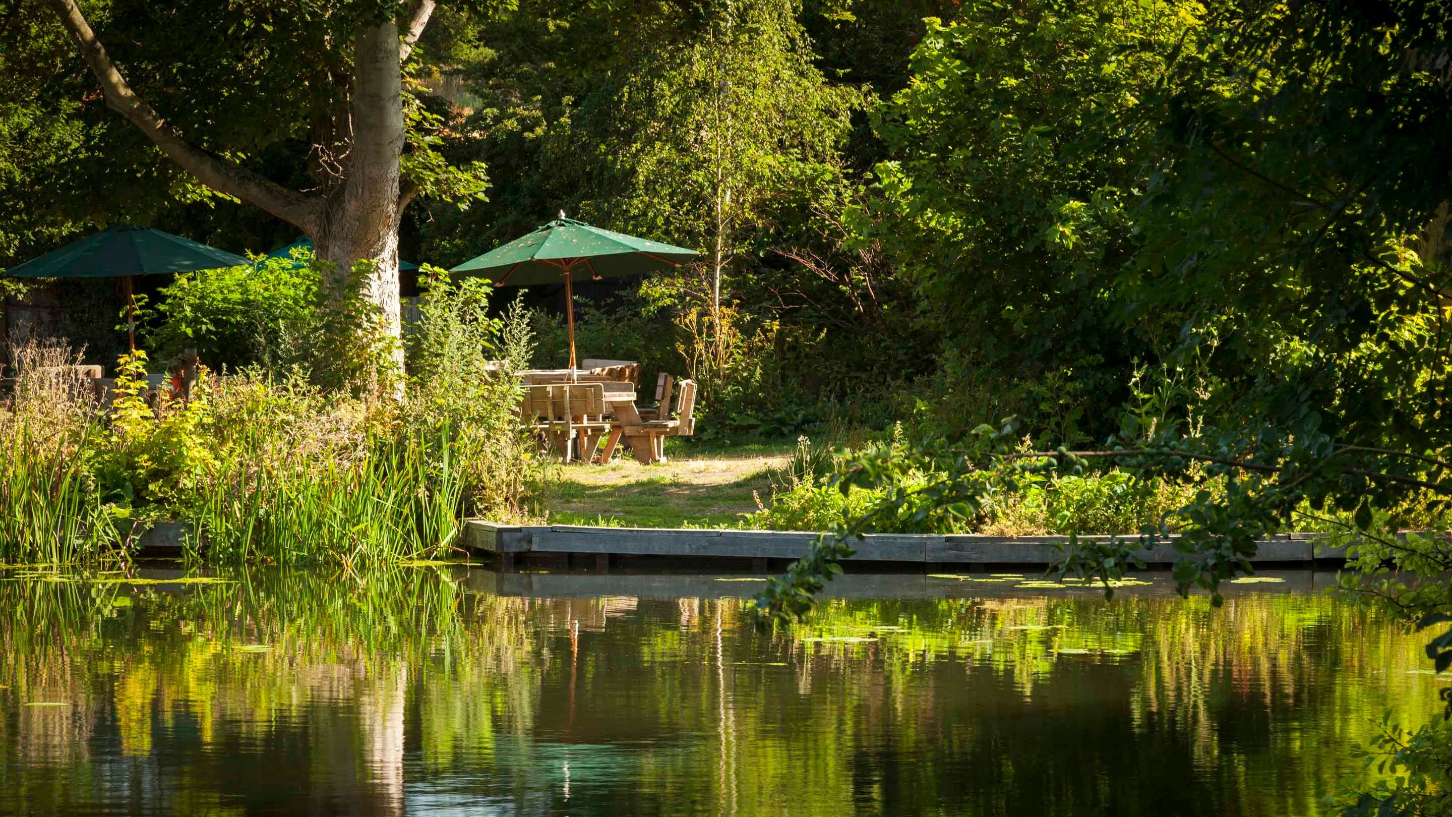 Picnic benches outside the National Trust tea-room by the River Stour at Flatford, Suffolk