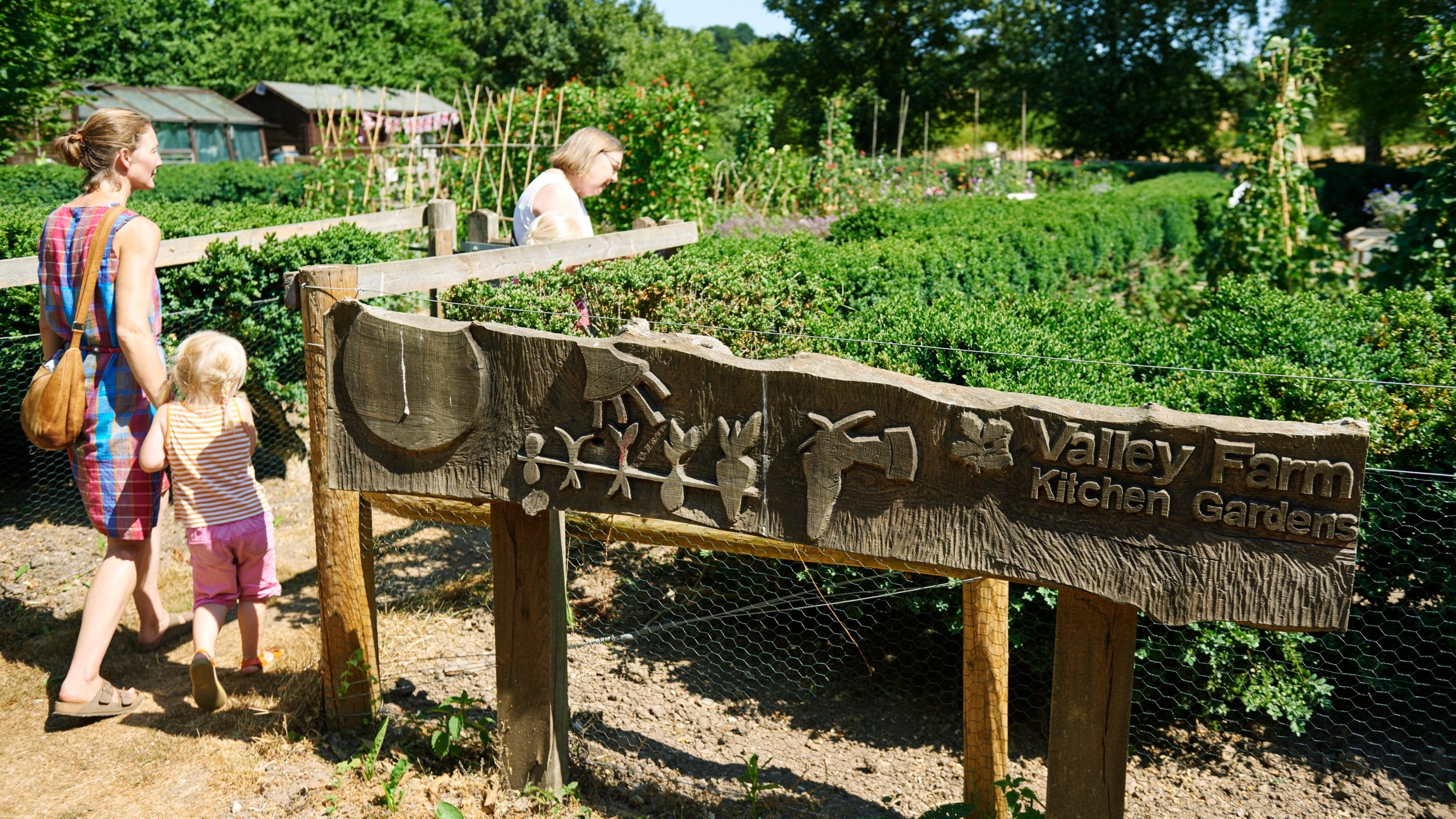Visitors exploring Valley Farm Kitchen Garden at Flatford, Suffolk, on a sunny day.