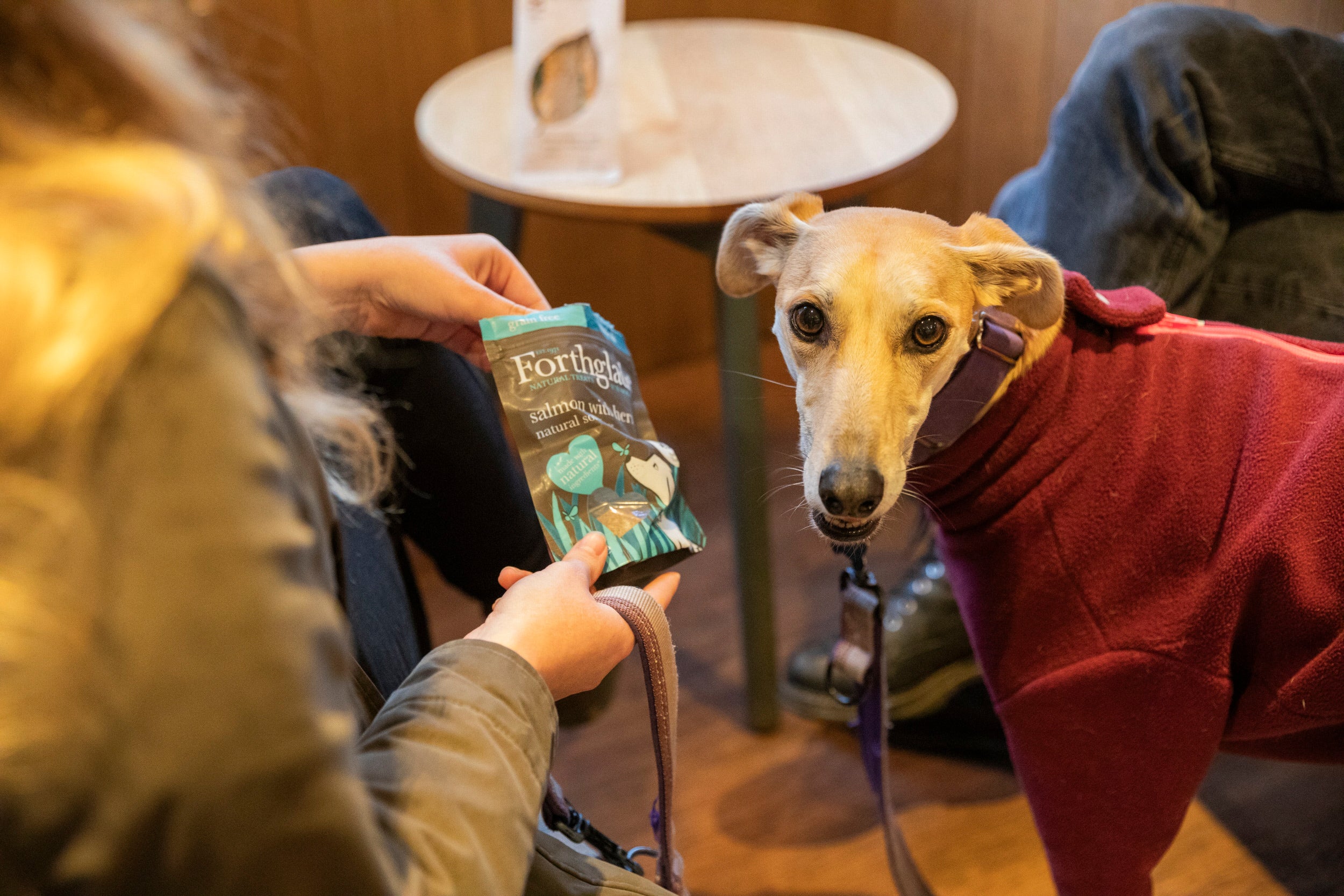 Visitors relaxing with their dog in the Porters Lodge café at Ickworth, Suffolk