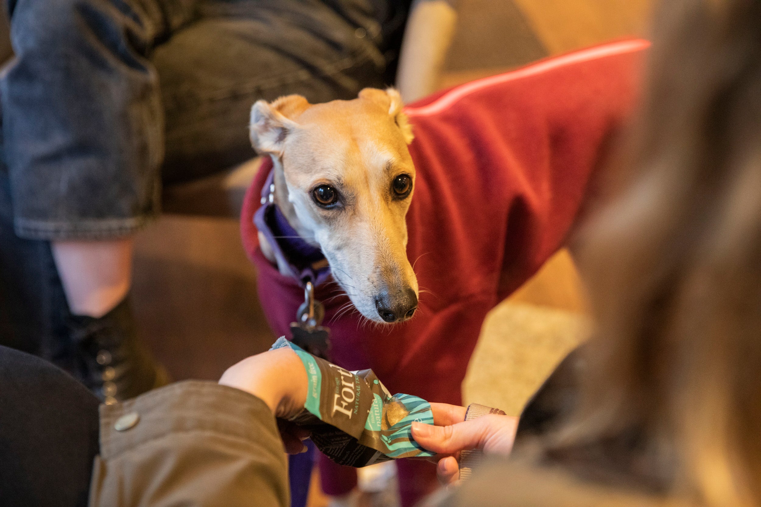 Visitors relaxing with their dog in the Porters Lodge café at Ickworth, Suffolk