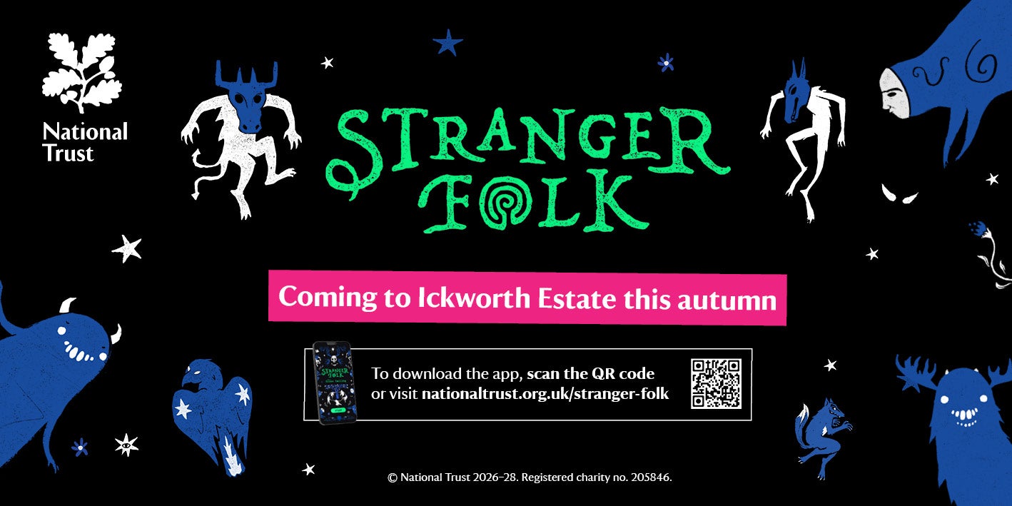 A graphic with a black background with 'Stranger folk' written in green writing