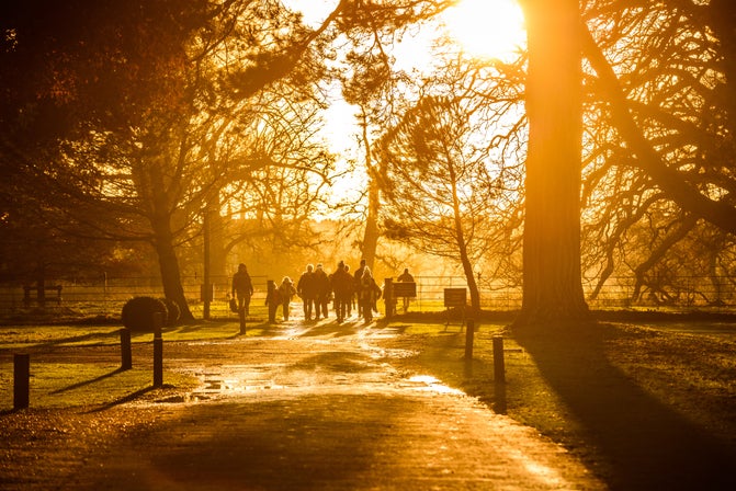 A group walking in the distance are silhouetted against autumn light