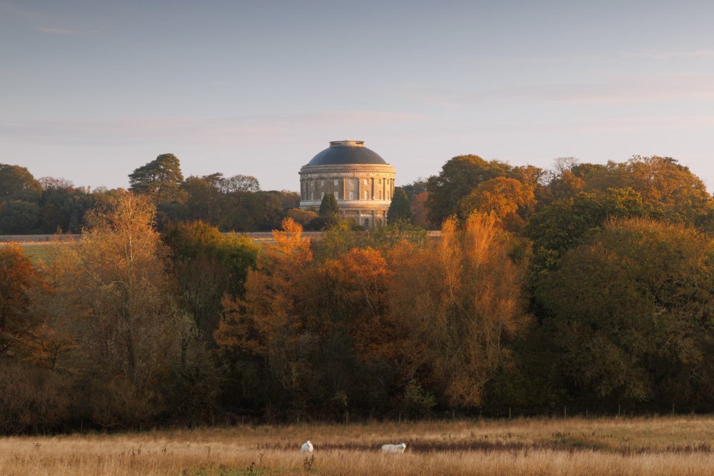 An autumn landscape at Ickworth with trees in brown and reds and the Rounda in the background