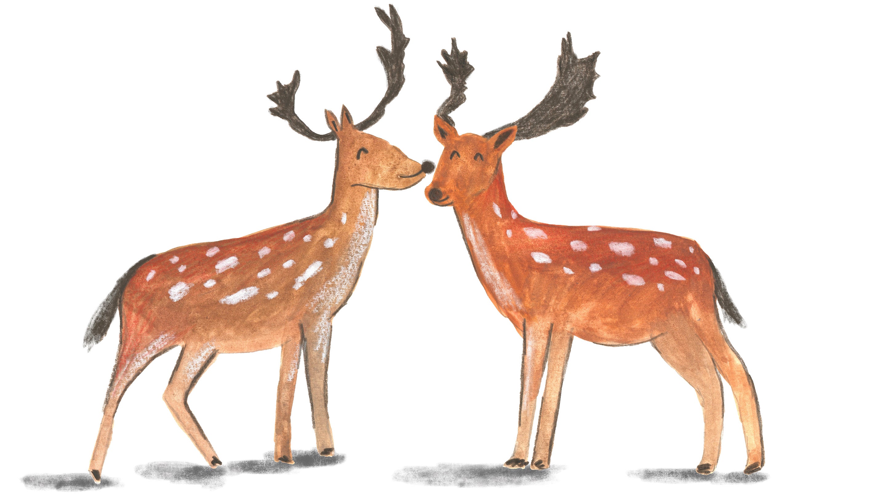An illustration of two deer facing each other with antlers