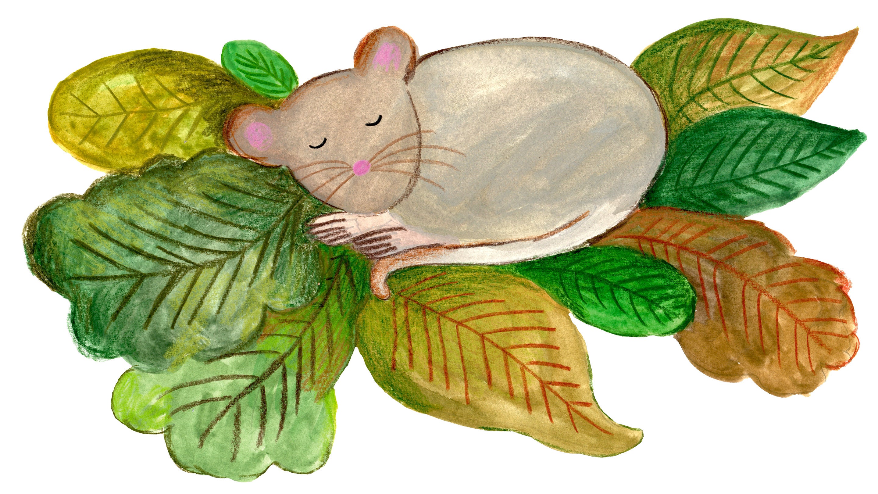 Mouse laying on a bunch of leaves