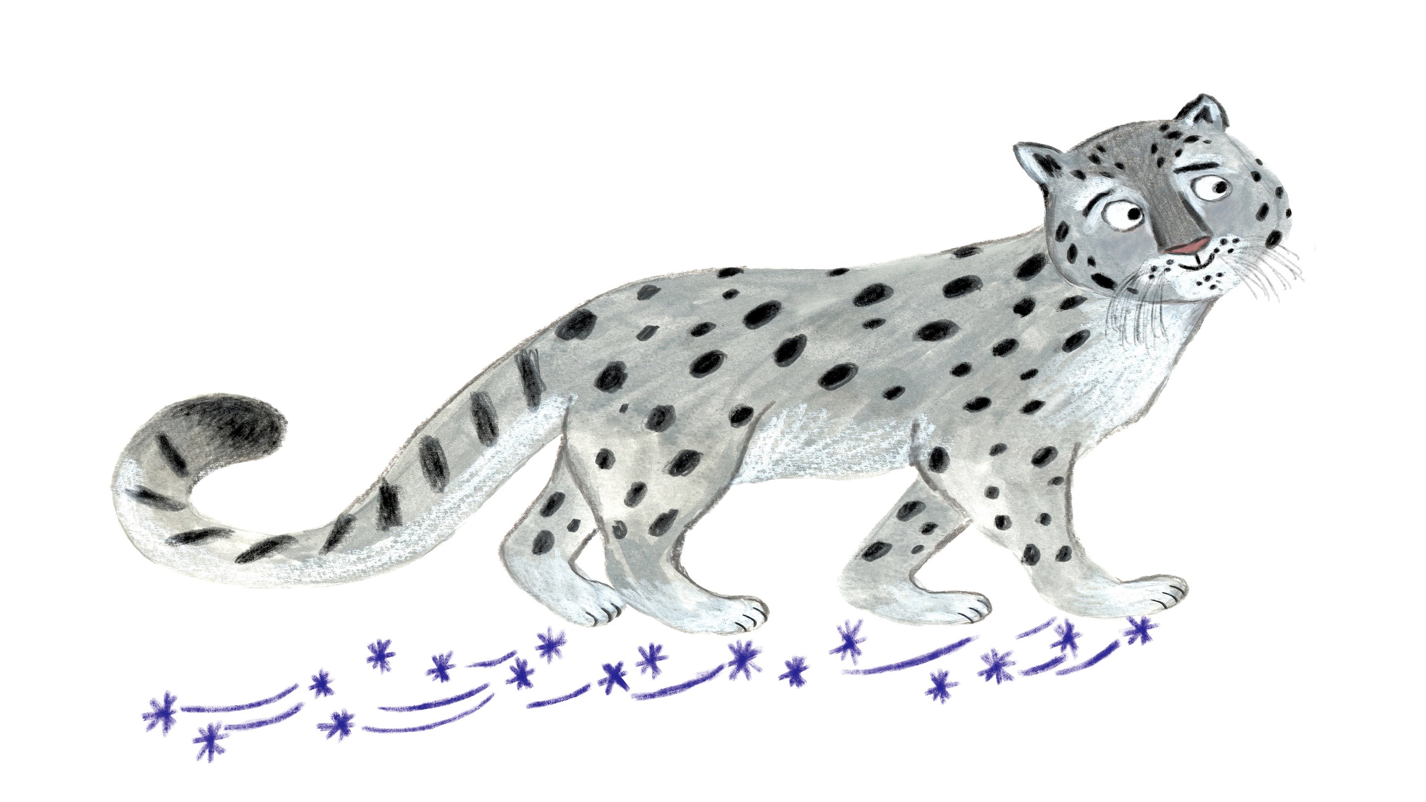 An illustration of a cartoon snow leopard who is light grey with dark grey spots. He has a curious look on his face