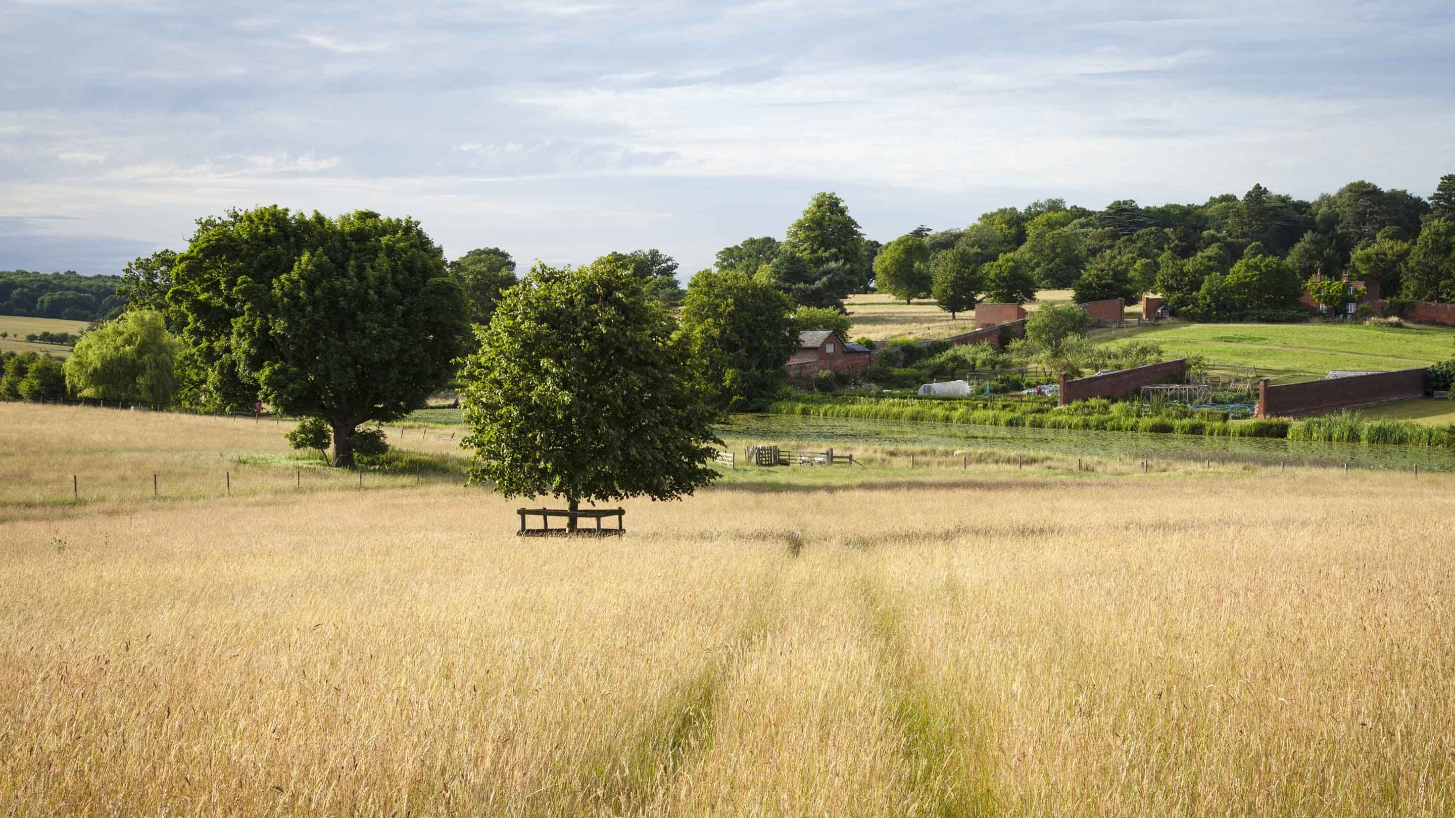 View of the walled garden and fields at Ickworth, Suffolk