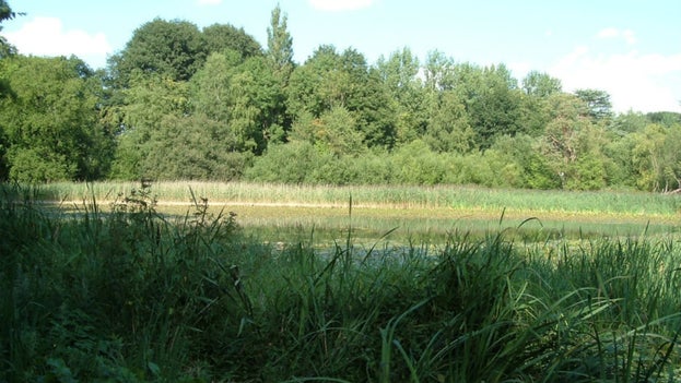 Ickworth Fairy Lake
