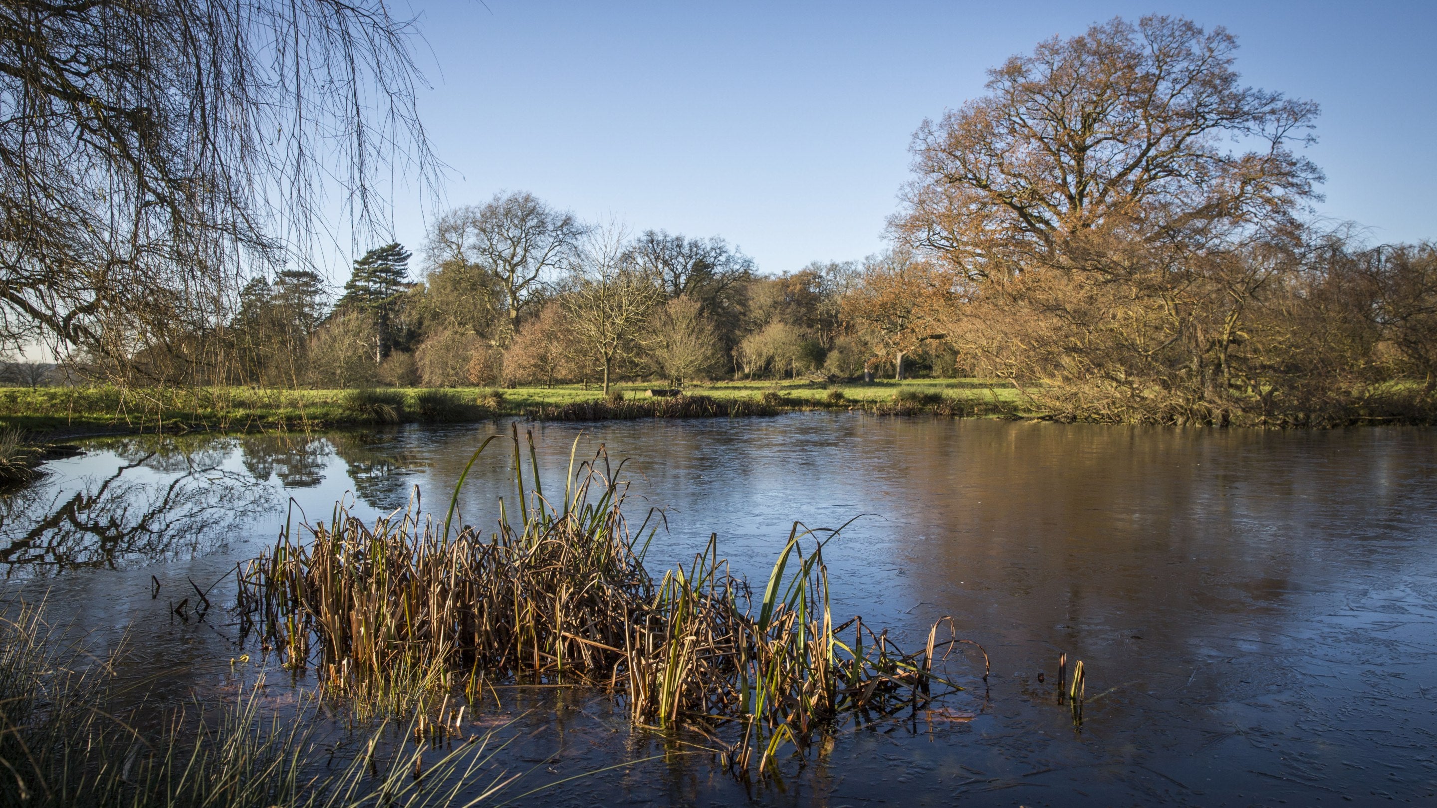 Lake and parkland at Ickworth, Suffolk