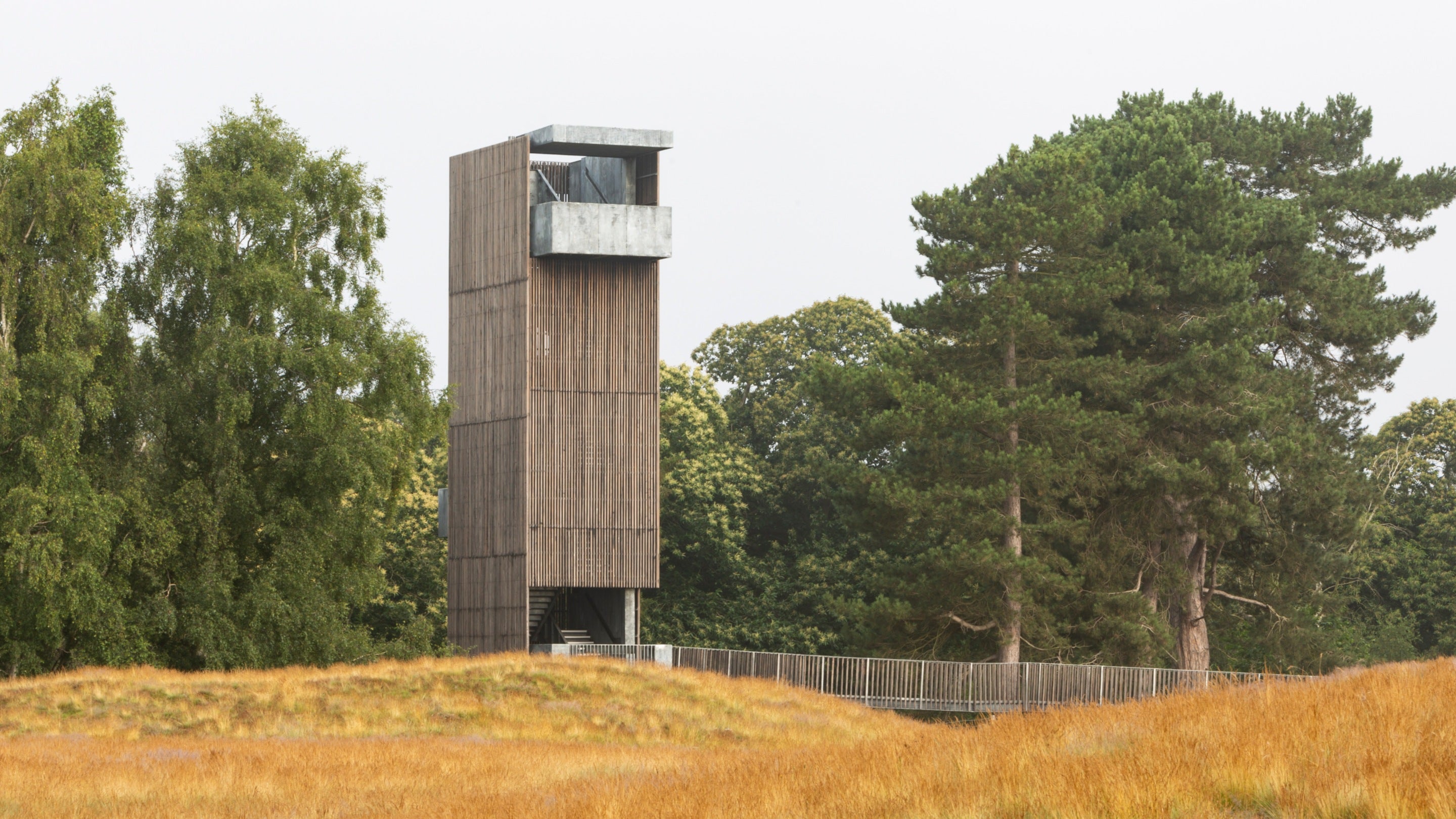 A modern looking viewing tower at Sutton Hoo in a field of golden grass with large green trees nearby. The tower features wooden and steel elements.