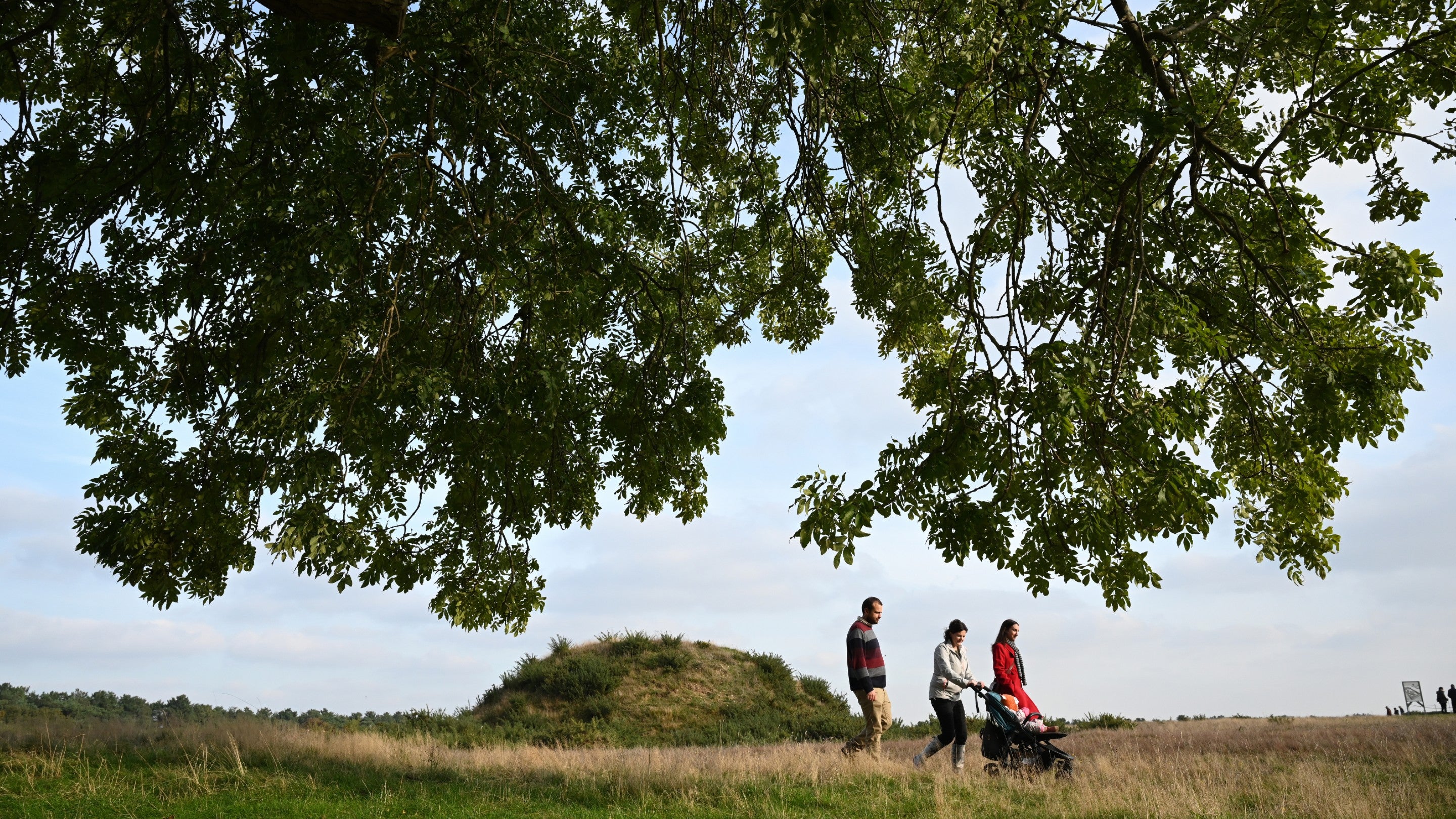 Visitors walking by the royal burial ground at Sutton Hoo