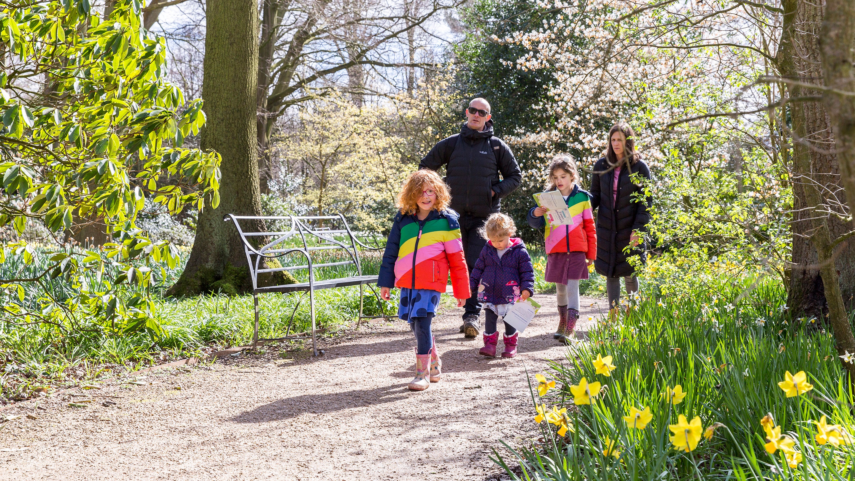 A family walk along a garden path lined with daffodils.