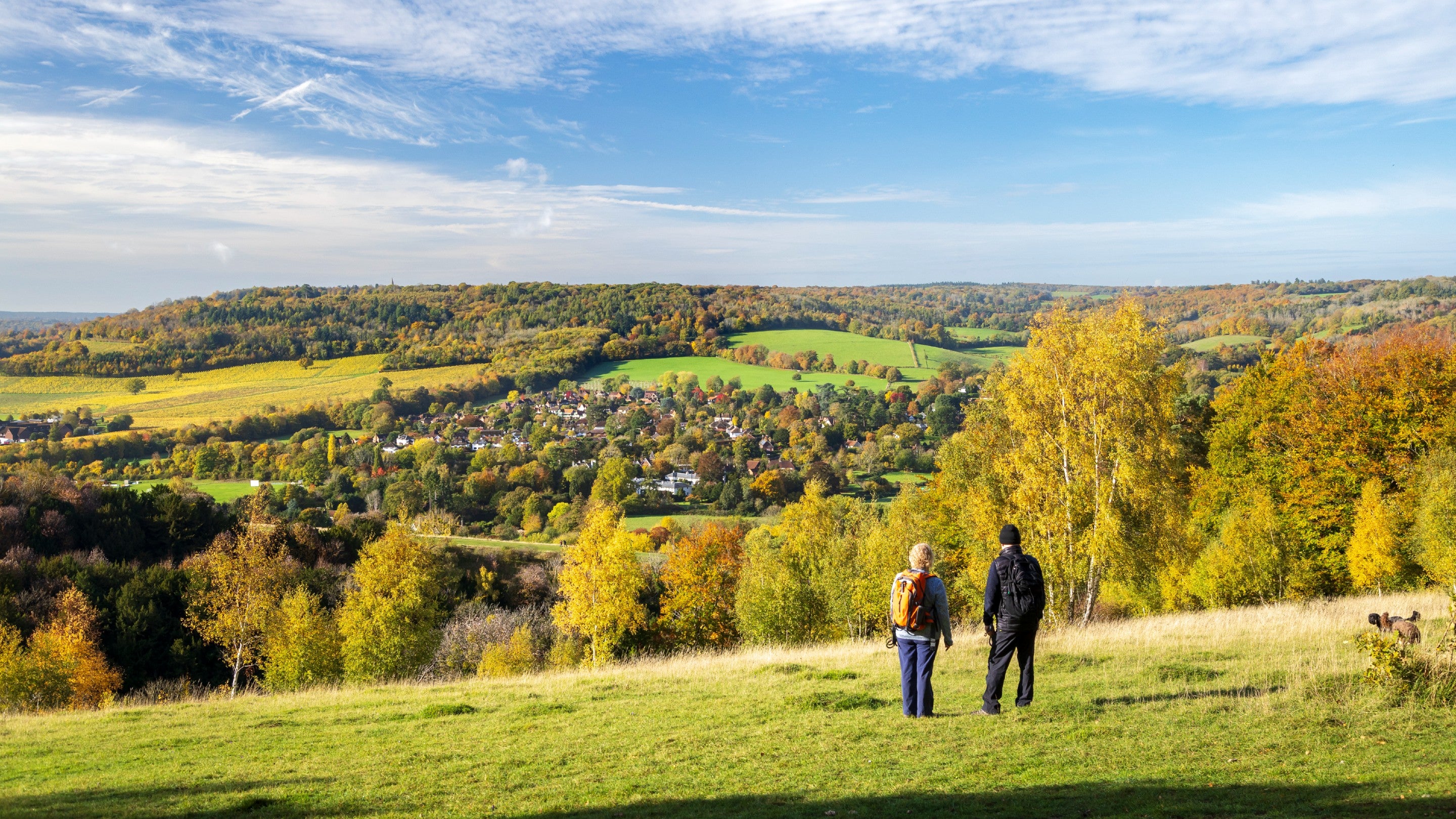 A man and a woman standing on the grass looking across towards the vineyards and woodlands at Denbies.
