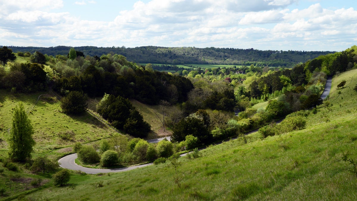 box-hill-happy-valley-walk-surrey-national-trust